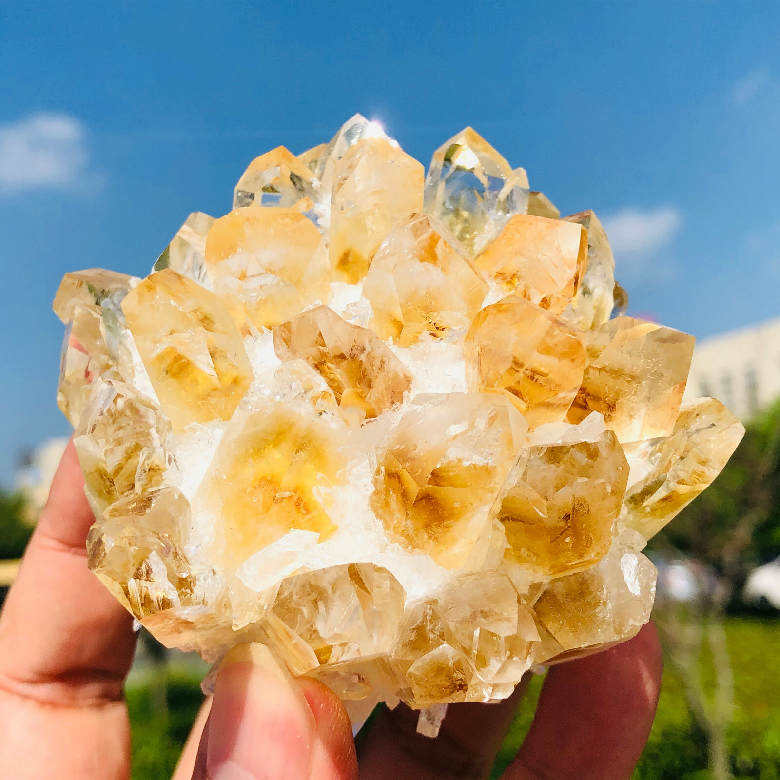 300-400g Yellow Phantom Quartz Citrine Crystal Cluster Mineral Specimen Healing