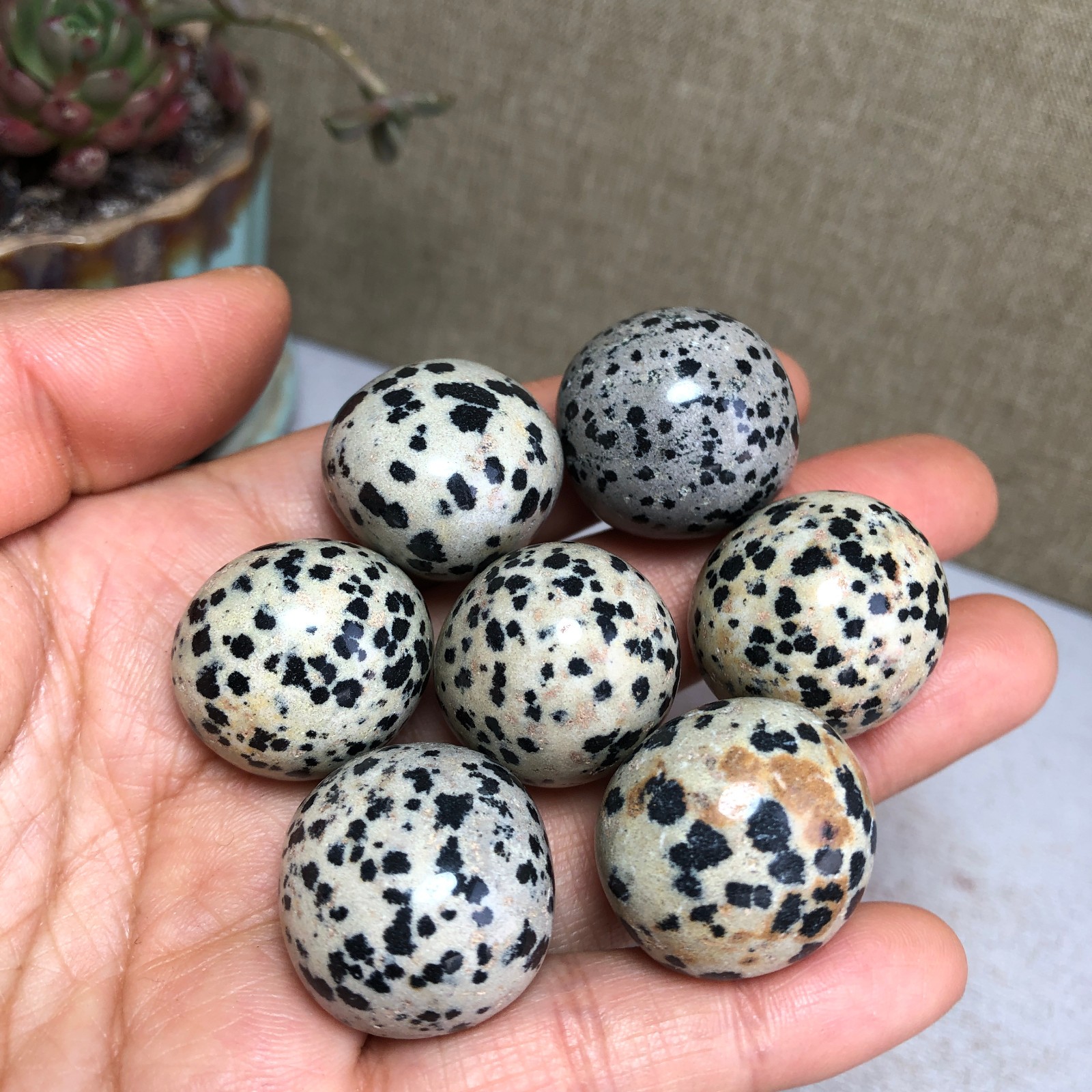 7pcs Natural Yellow spotted stone semi-precious Crystal specimens 119g A3584