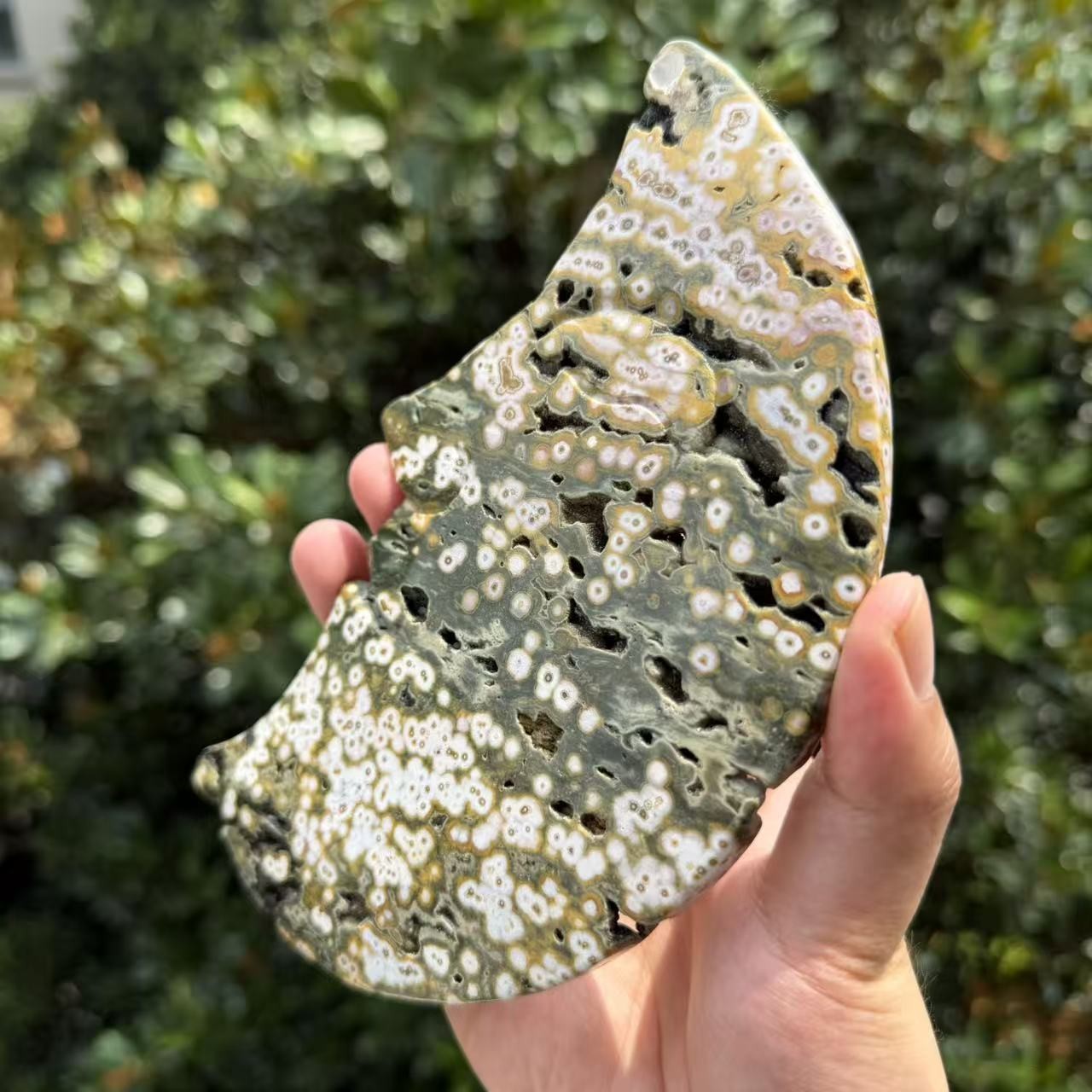 410g Natural 8th Vein Ocean Jasper Crescent Moon Face Crystal Specimen Decor