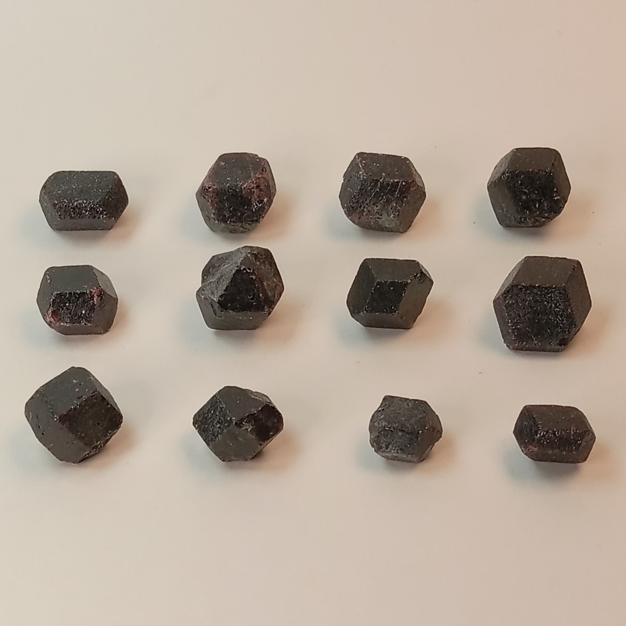 Raw Garnet Crystal Lot 12pc Natural Mineral Specimen Collection J2
