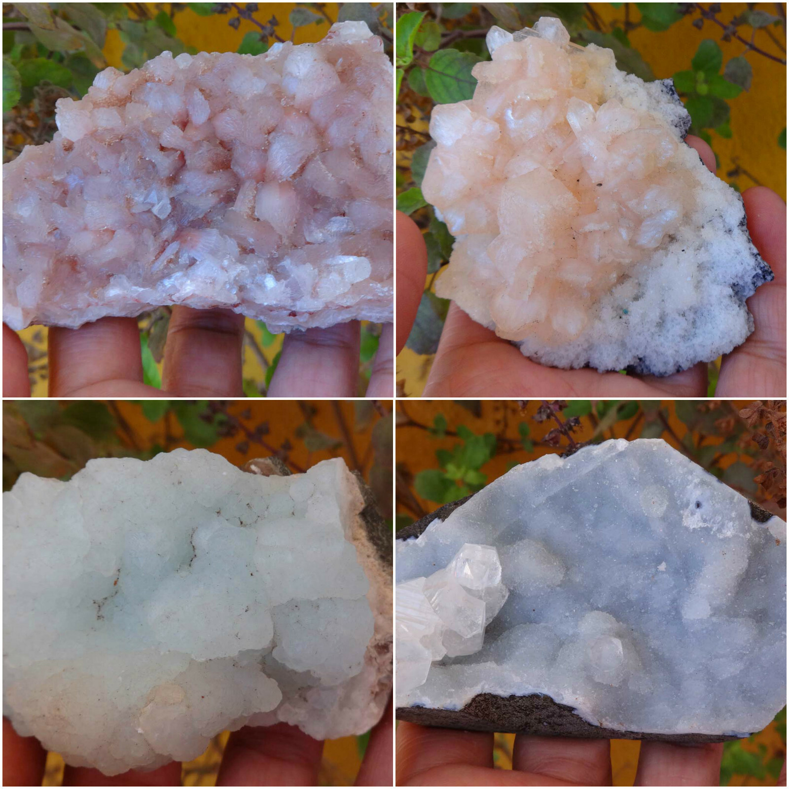 Lot of Stilbite,Stilbite & Stellerite,Chalcedony Mineral Specimen BO=13