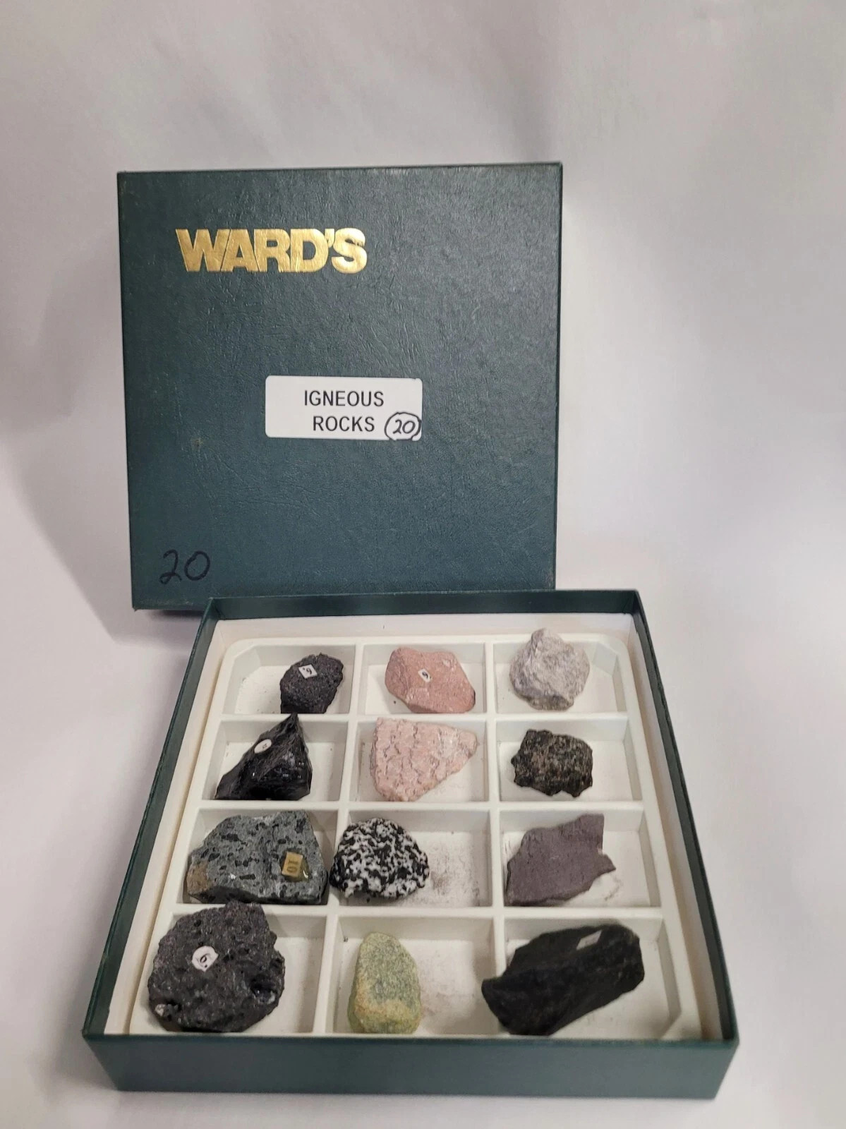 Sedimentary, Igneous, Metamorphic: 36-Piece Educational Rock Collection