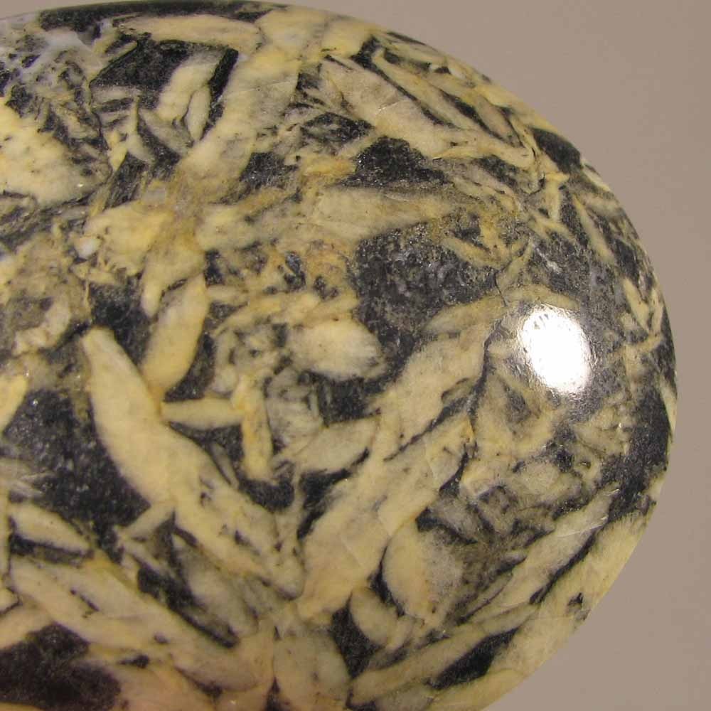 2″ PINOLITE Pinolith Polished Palm Stone – British Columbia, Canada