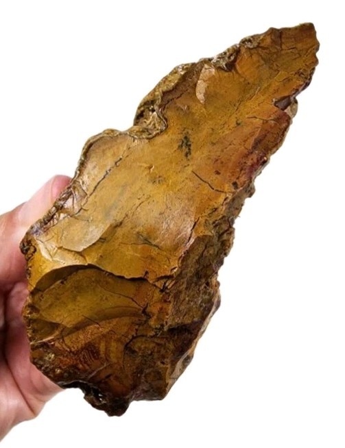 Opalized Wood Rough 278.6 grams.