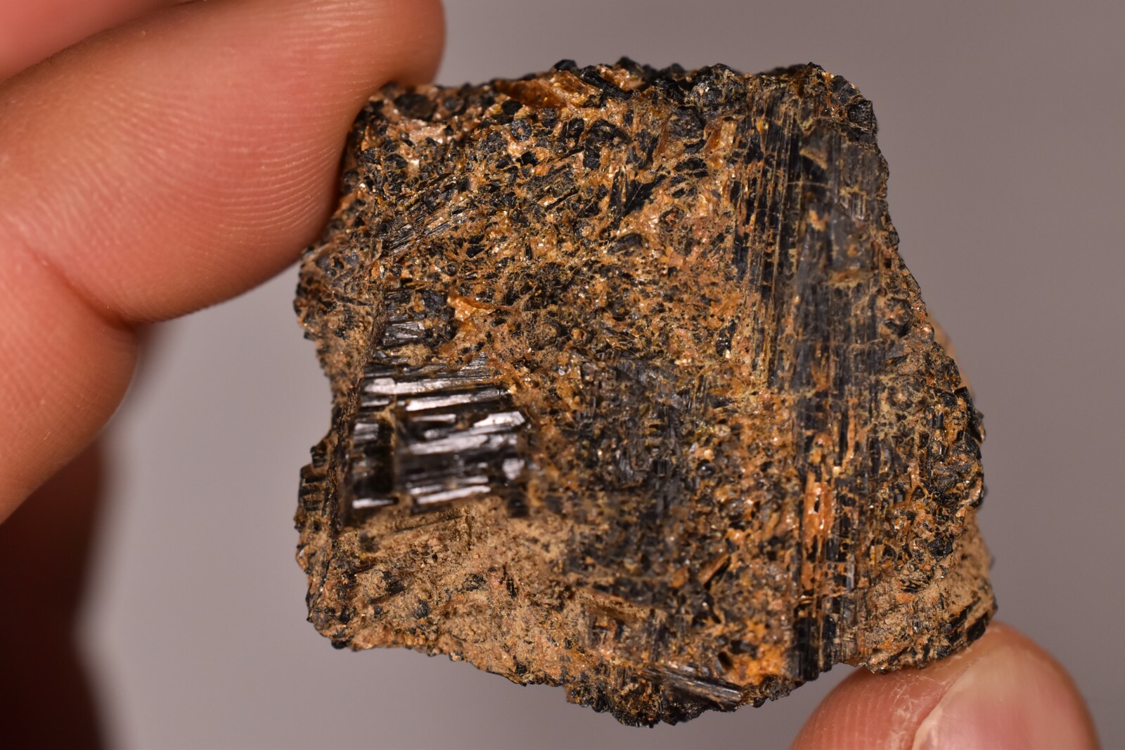 *AUSTRALIAN* BLACK TOURMALINE 3.9cm 34.7g Natural Specimen Rough Crystal