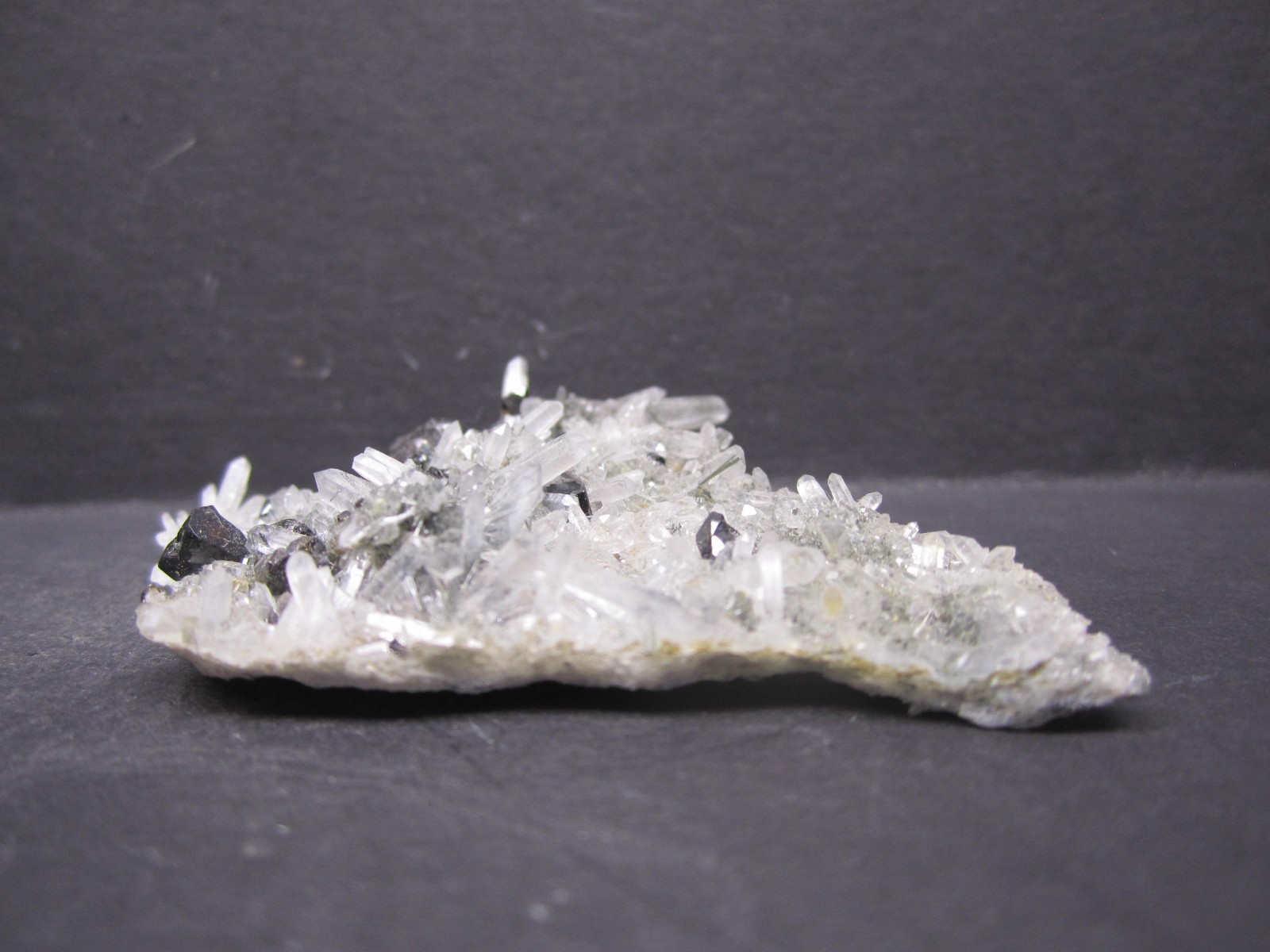 Cassiterite on Quartz, Viloco Mine, Bolivia #8