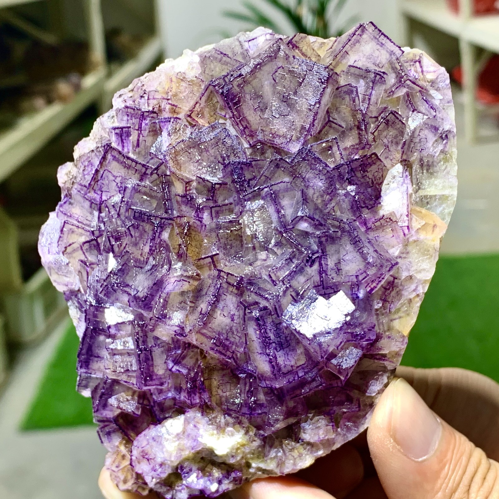 443G Inner Mongolia Natural Fluorite Purple Edged Cube Crystal Mineral Specimen