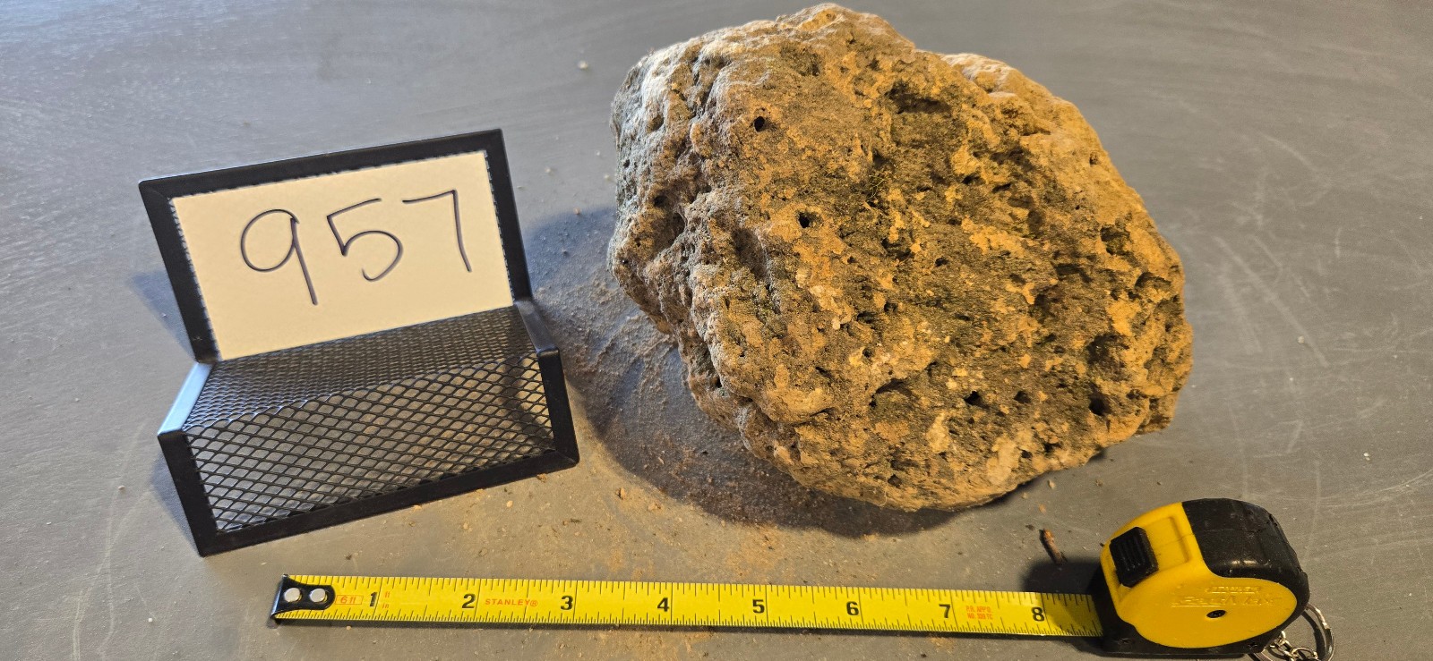 7″ Medium Pumice Stone Floating Natural Rock Carnivorous Succulent Garden #957