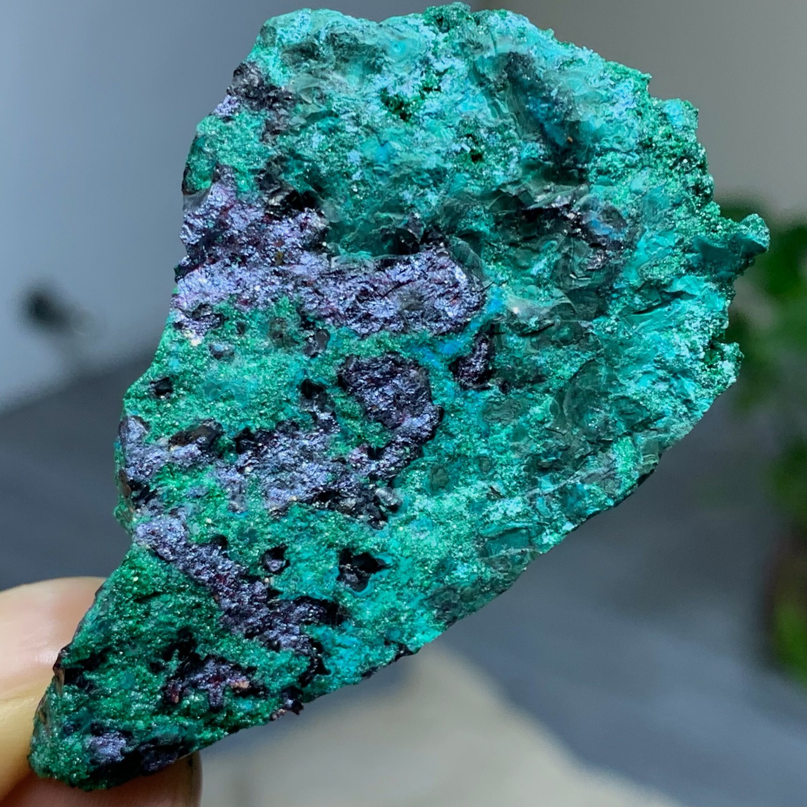 50G Natural Needle shaped feather Malachite withRed Cuprite rough mineral sample