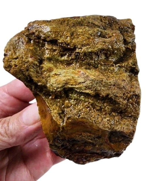 Opalized Wood Rough 278.6 grams.