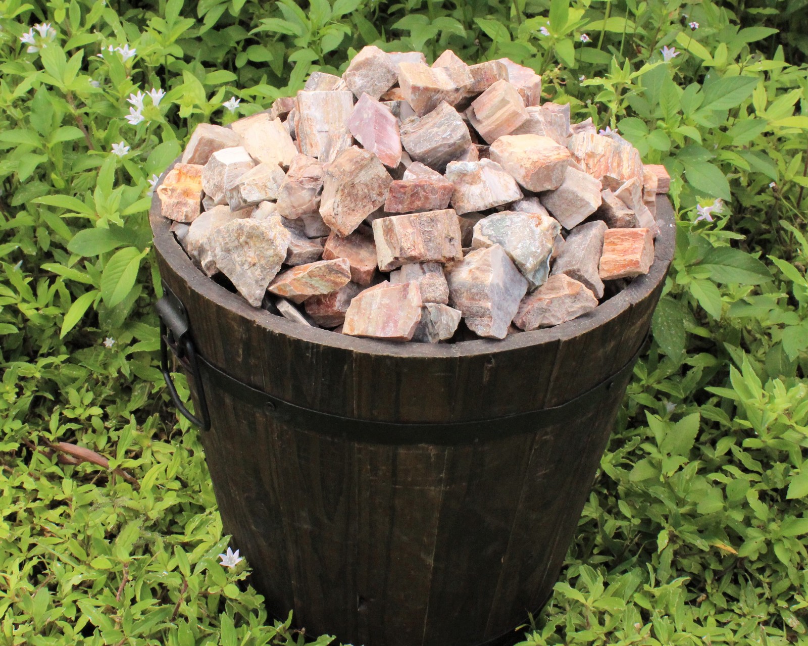Single LARGE Rough Petrified Wood Crystal, 2-3″ (Natural Raw Petrified Wood)