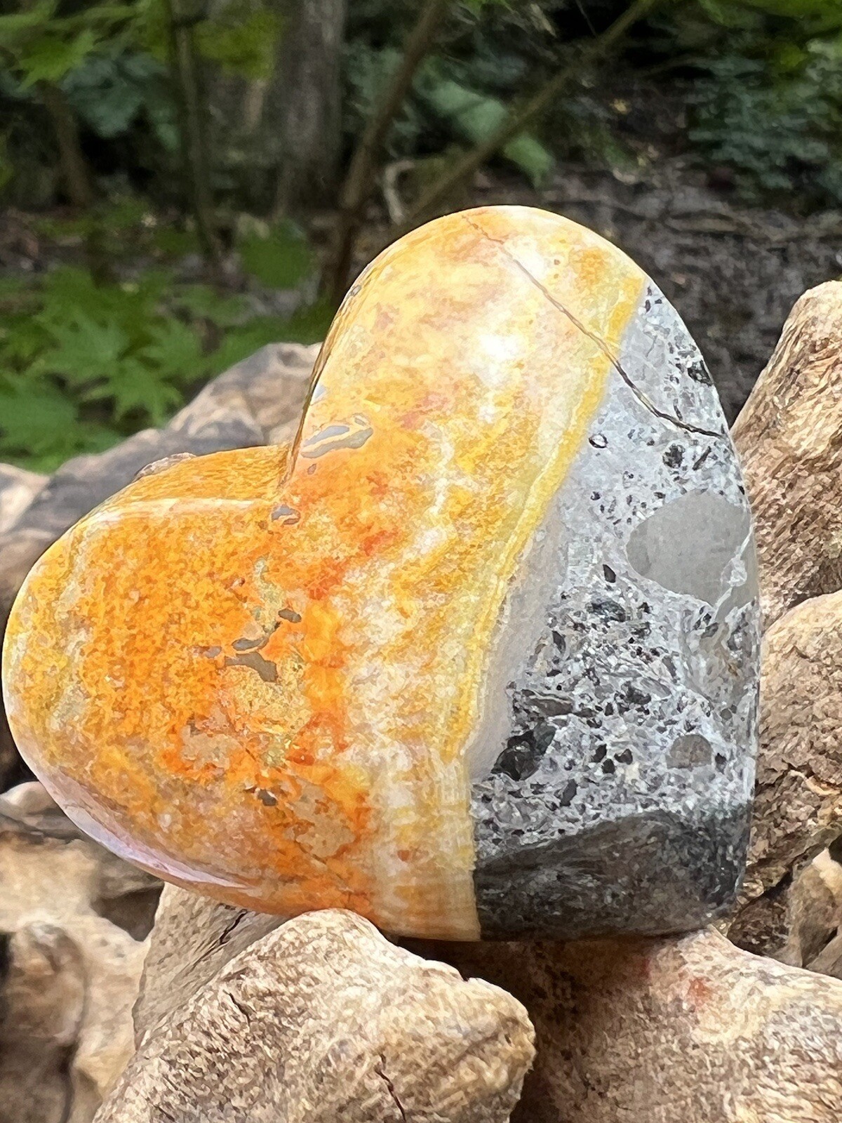 Bumblebee Jasper Heart AAA+ : Inspiration : Intention : Creativity 227