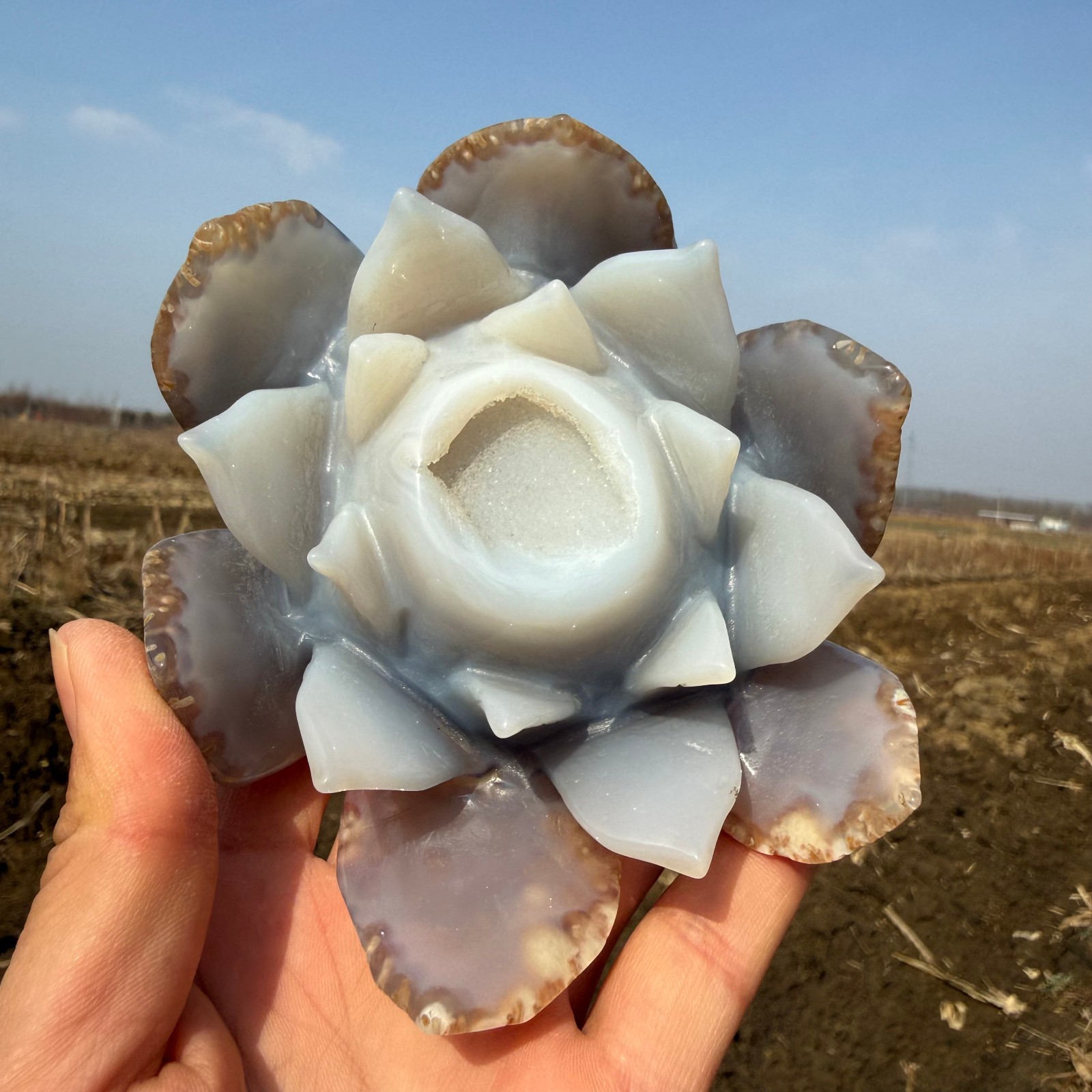 500g+natural White agate hand lotus cluster carved Quartz Crystal reiki healing