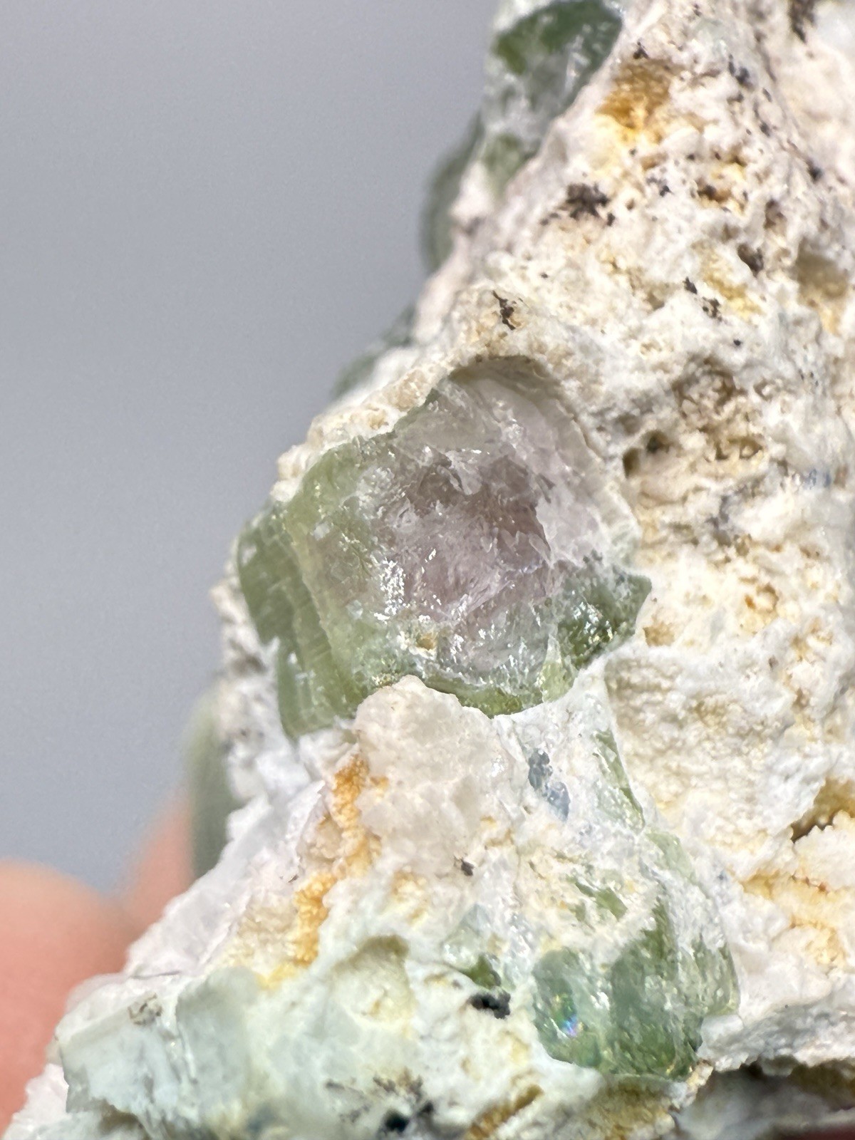 Watermelon Tourmaline on Matrix | Collector Mineral Specimen | Pakistan