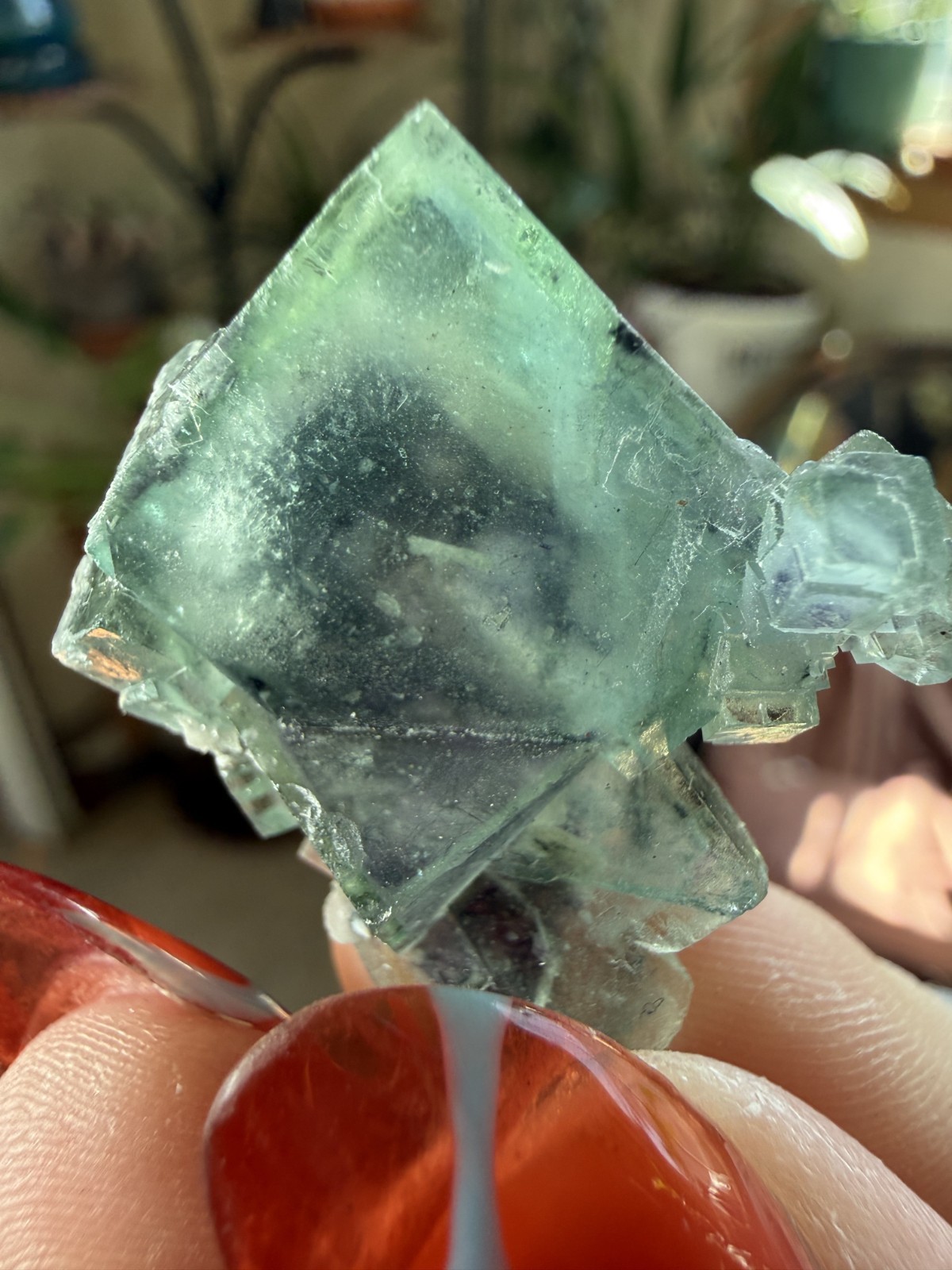YGX Fluorite Cube Cluster with Purple Core & Pyrite Dusting – Yaogangxian, China