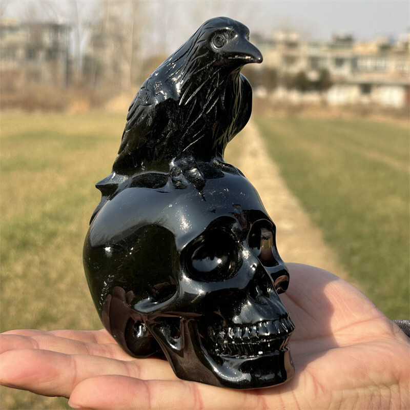 1.43LB Natural Obsidian Crow Skull Quartz Skull Crystal Specimen Reiki Healing
