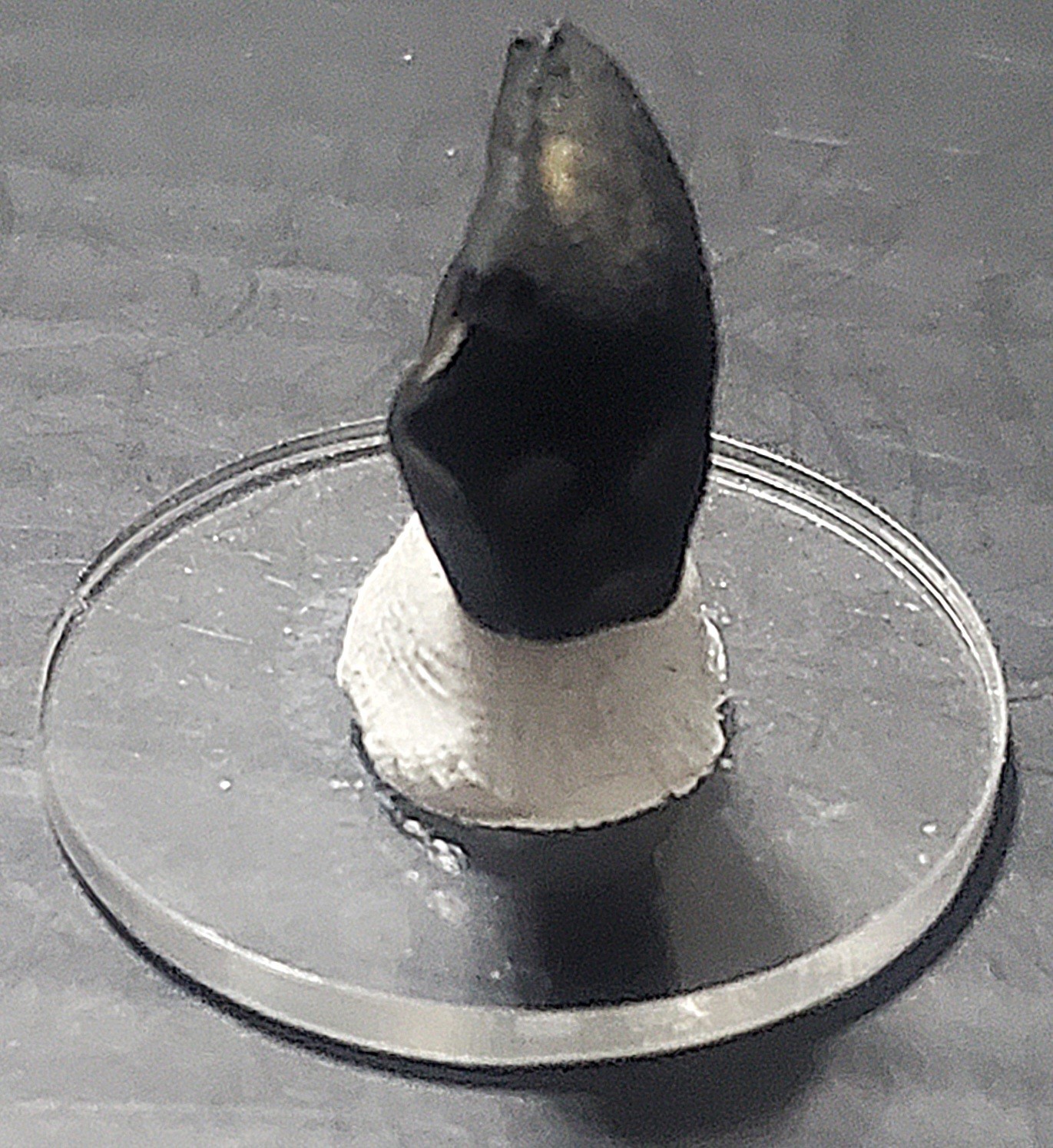 11.95ct Black Spinel Specimen From New York, USA