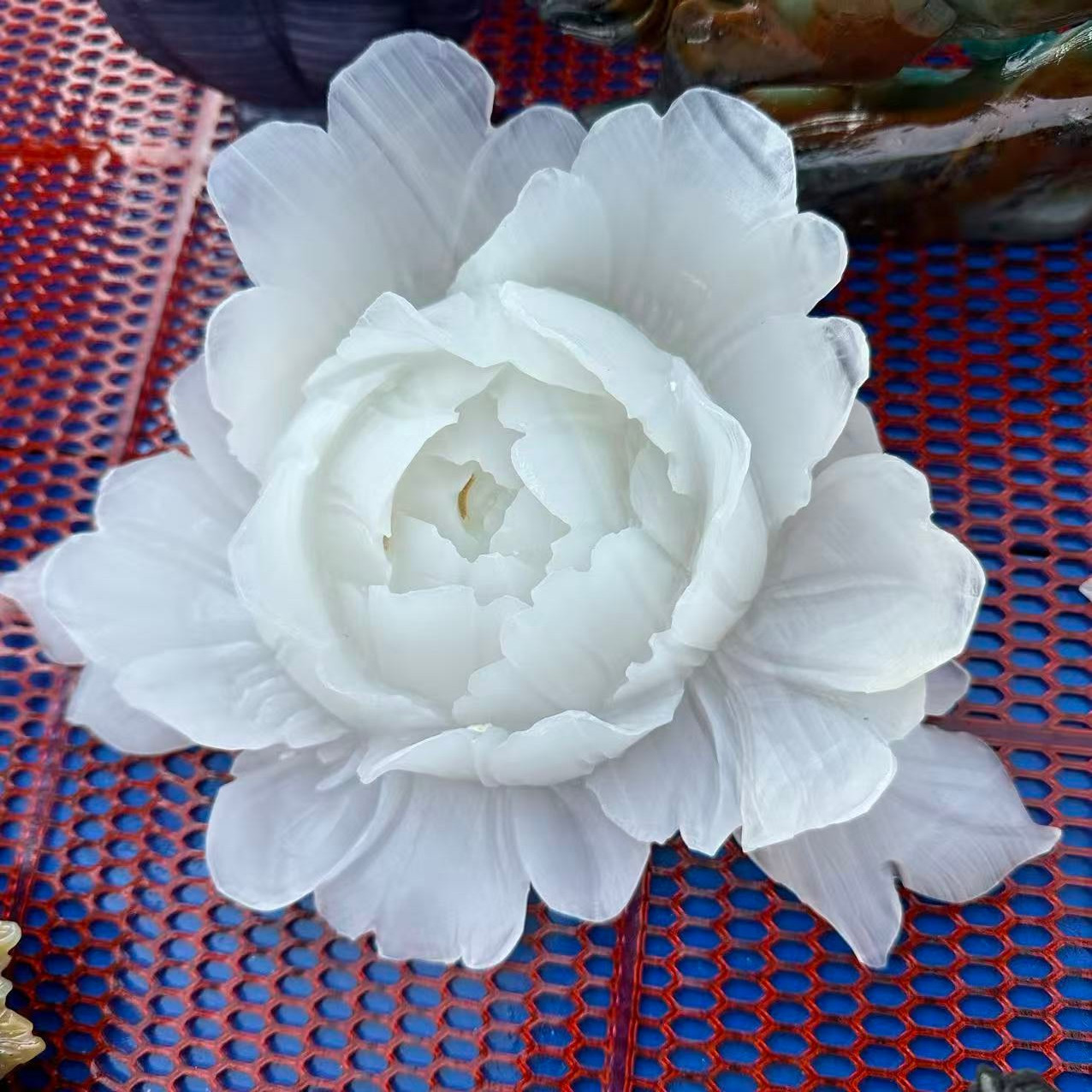 1pc Natural Afghan jade Quartz Carved Flower Skull Crystal Reiki Healing Decor