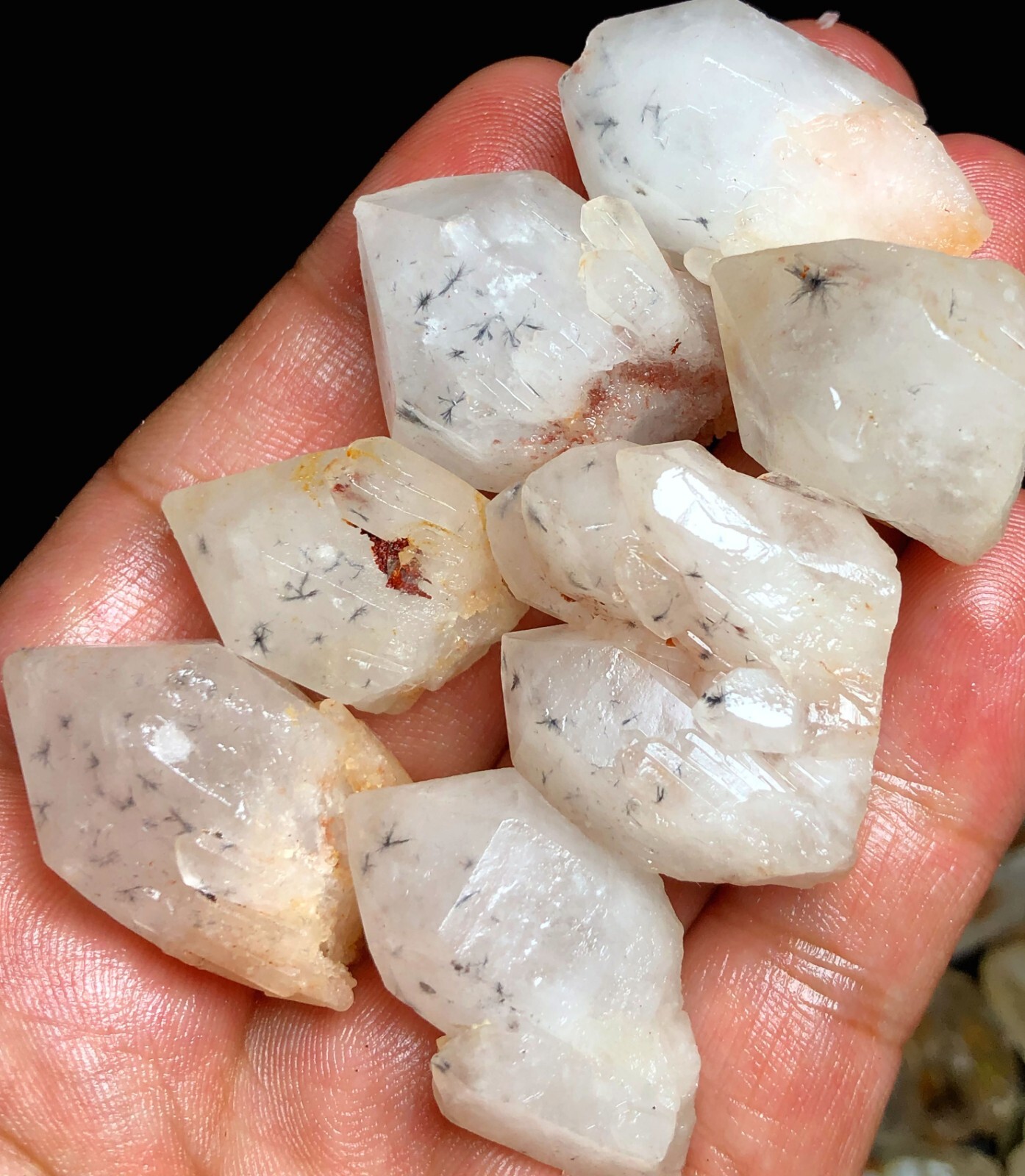 93g 7PCS RARE Natural Hollandite Star Quartz CRYSTAL Point &Trapiche Hair M439