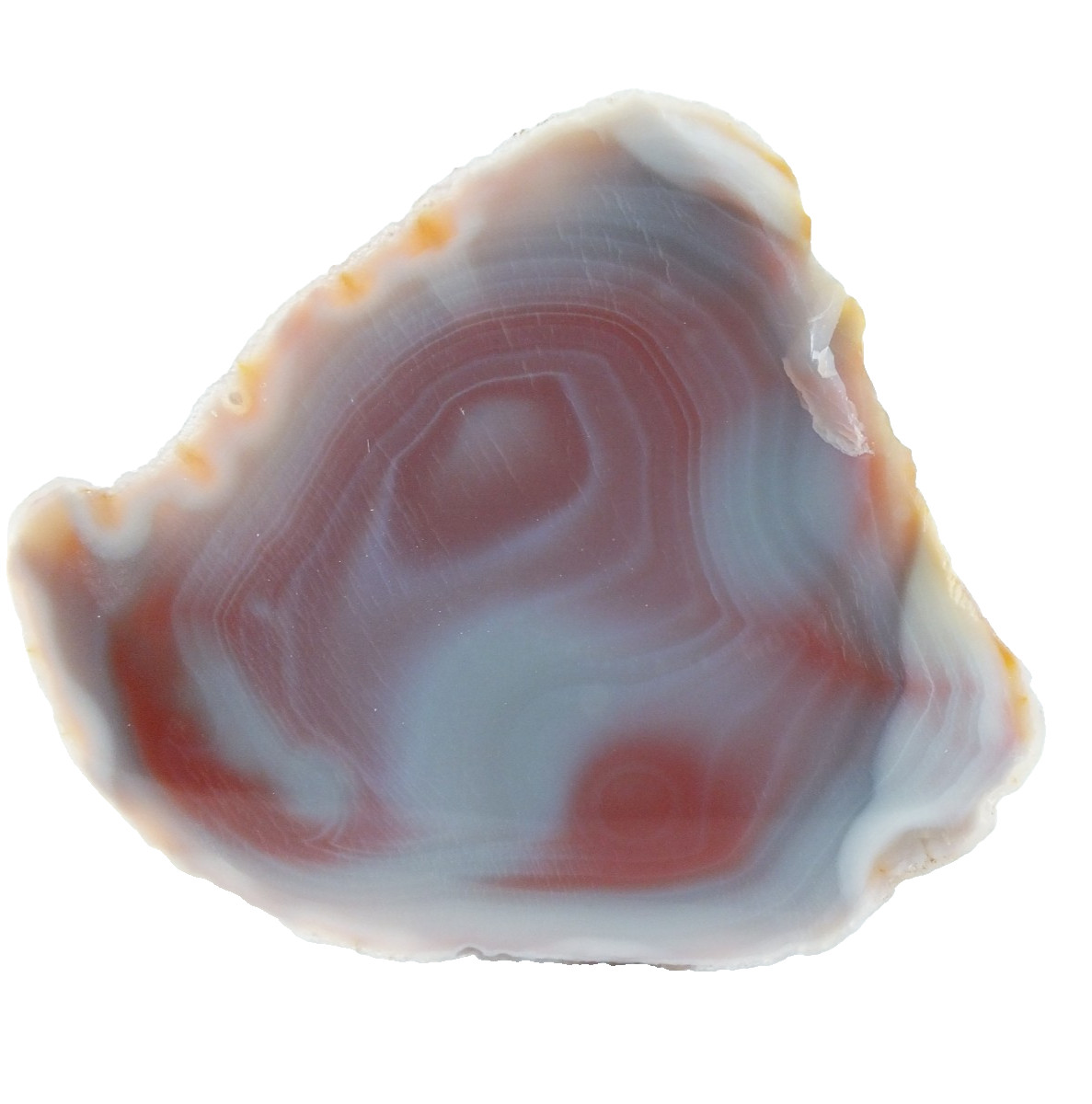Agate fully polished Agate Half from Agate Creek Queensland Australia (ea10369)