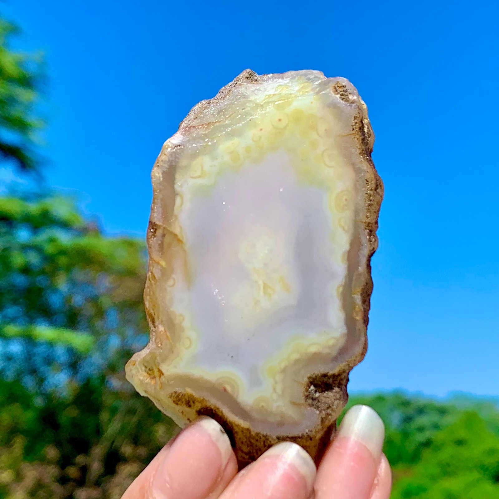 64G AAA Grade Natural Beautiful Yellow Agate Geode Druzy Slice Extra Large Gem