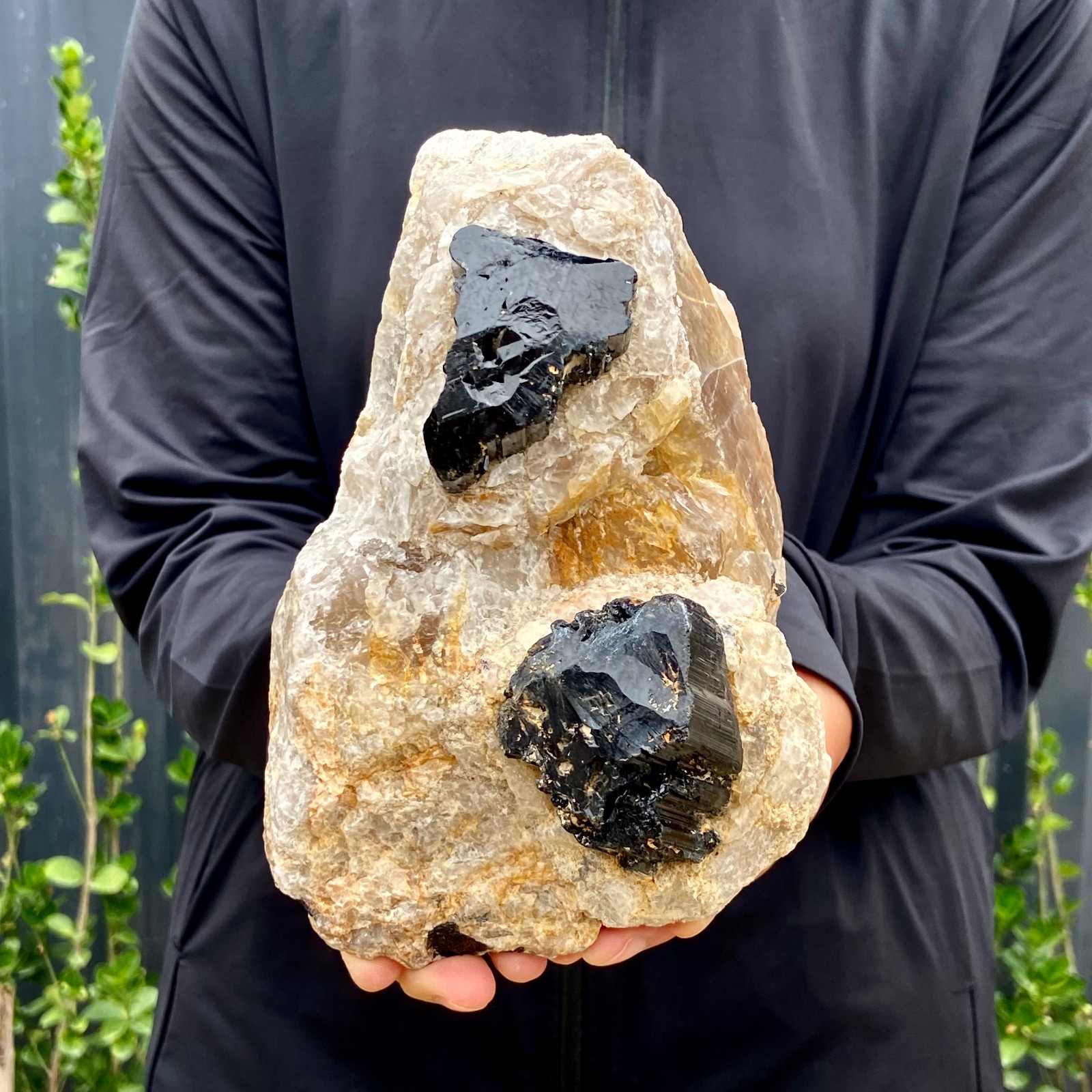 5.18LB Natural Black Tourmaline Quartz Crystal Stone Gem Original Mineral Speci