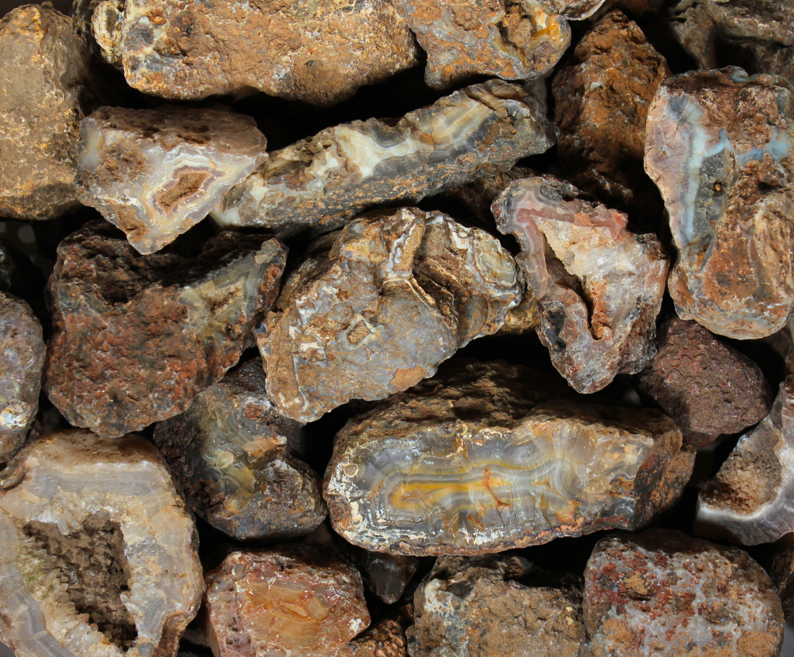 Picacho Agate Nodules – Rough Rocks for Lapidary/Cabochon – Bulk Wholesale