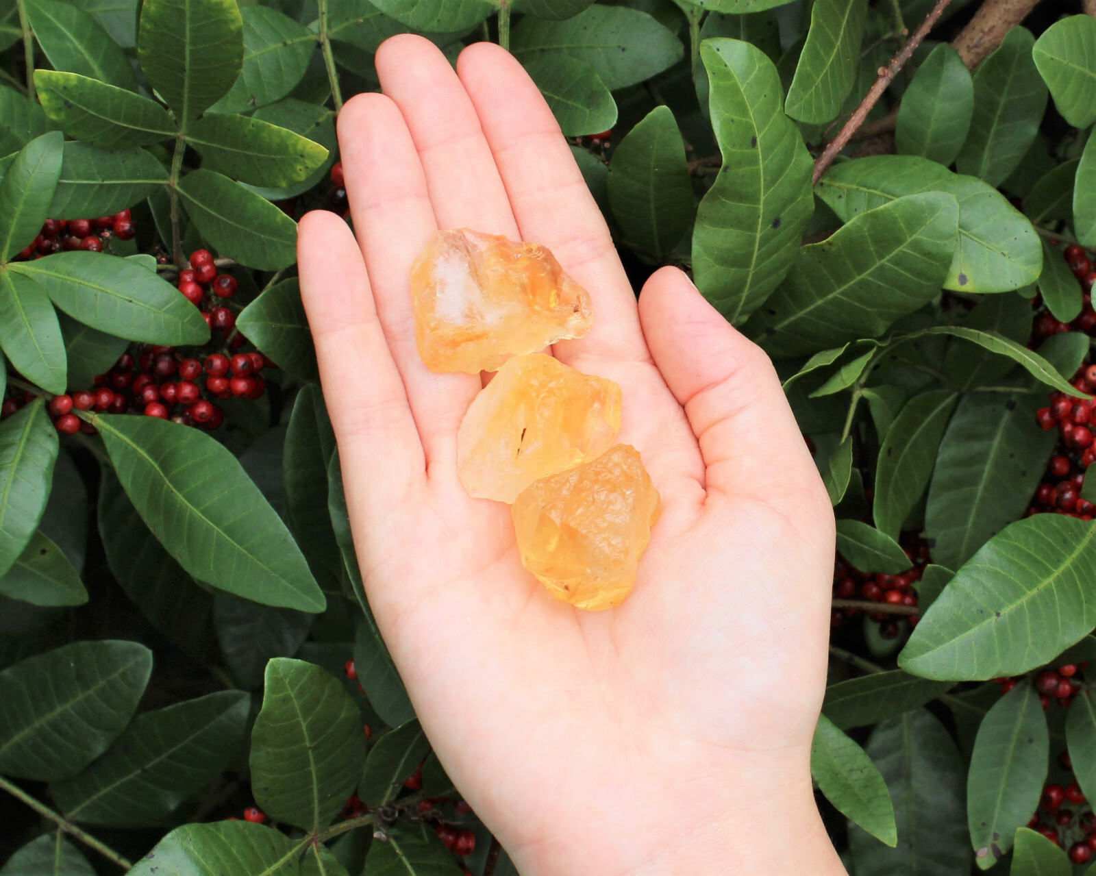 Citrine Rough Naturals Crystals: Choose How Many (Raw Citrine)