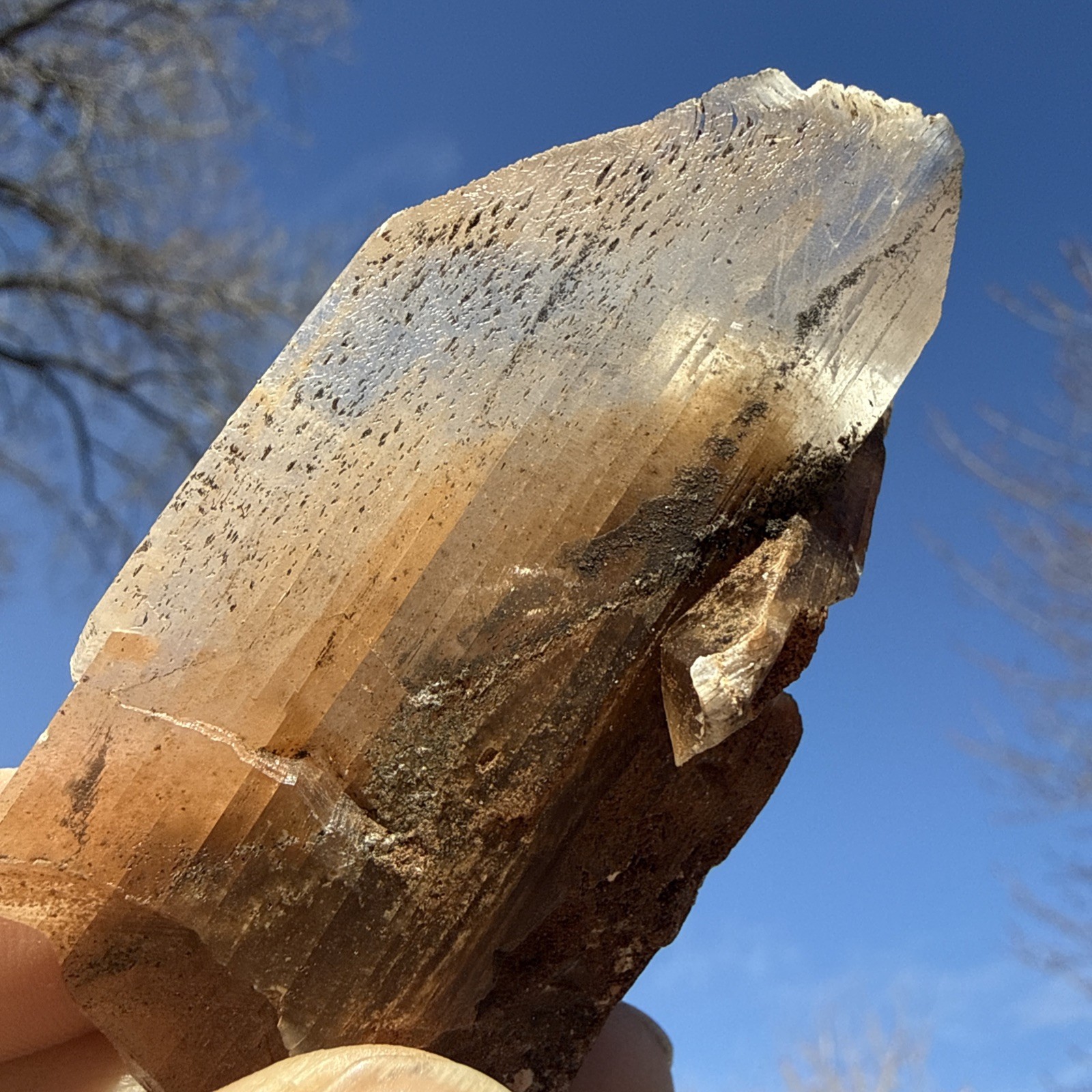 Natural Phantom Selenite W/ Black & Orange Phantoms👀Minerals! Quartz!Collector
