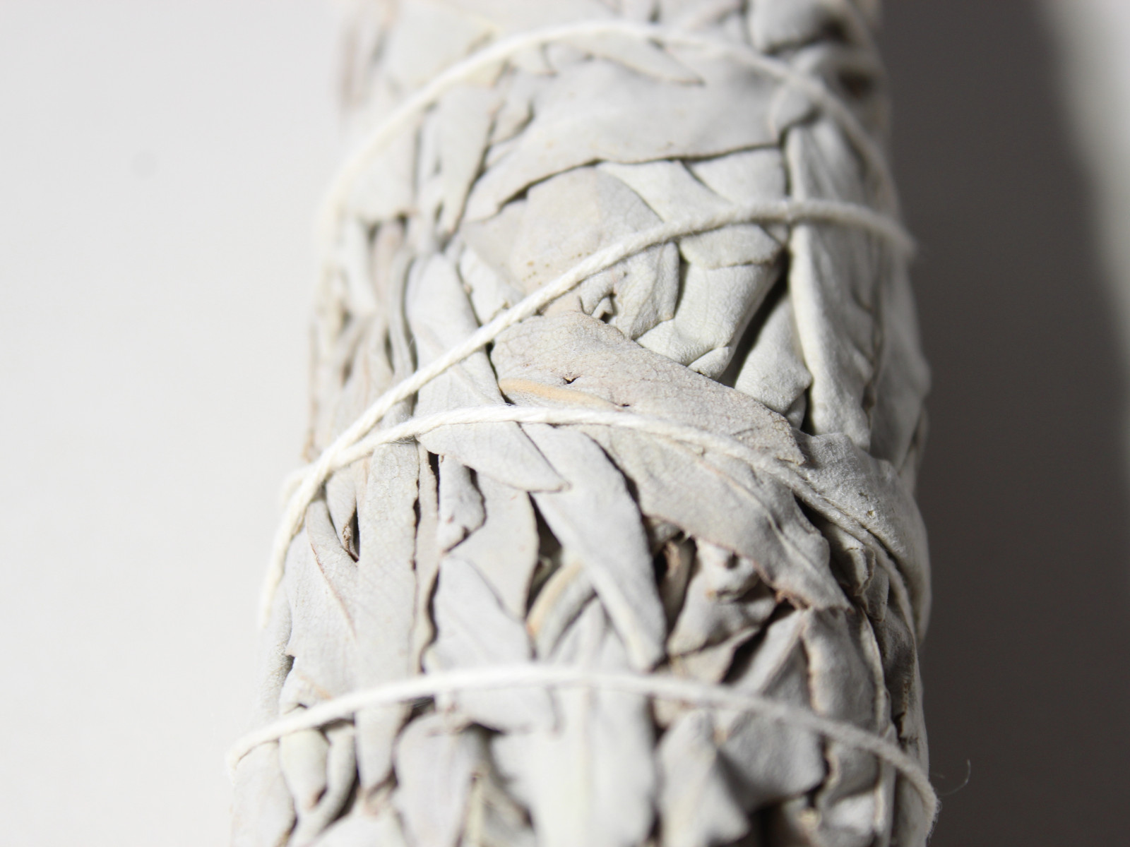 White Sage Smudge Sticks – 4″ – 4.5″ – Incense Bulk Wholesale 1LB option