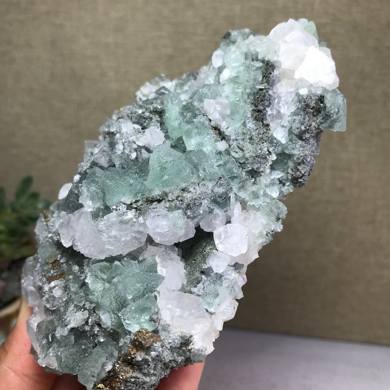 423g NATURAL Green Cubic FLUORITE paragenesis Crystal Cluster Specimen A4779