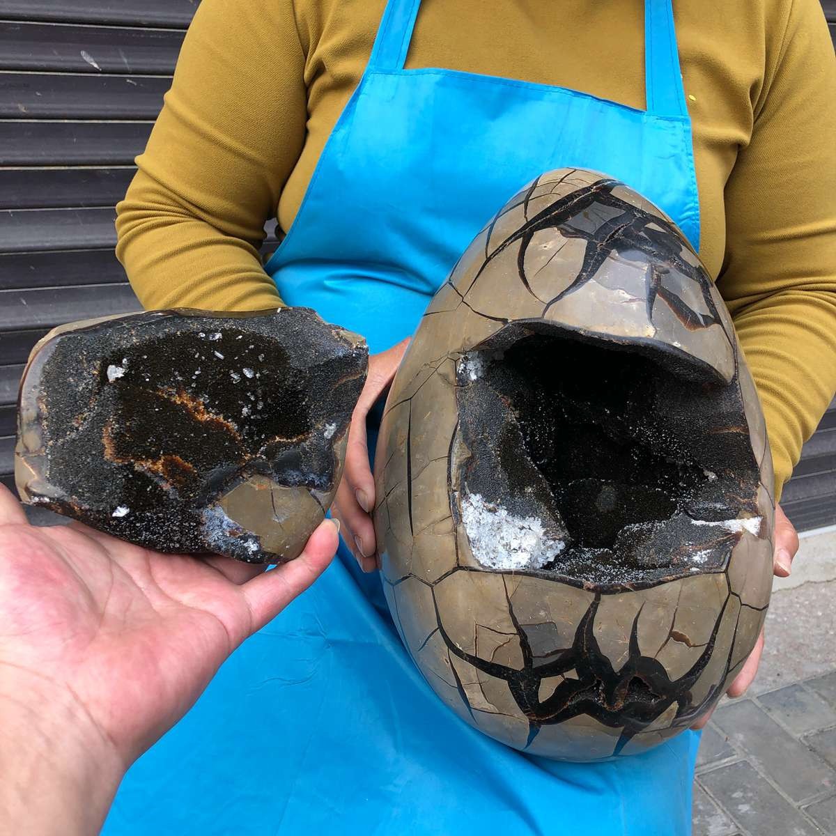17KG Natural Turtle Back Stone Dragon Crystal Cave Crack Gem Healing 4347