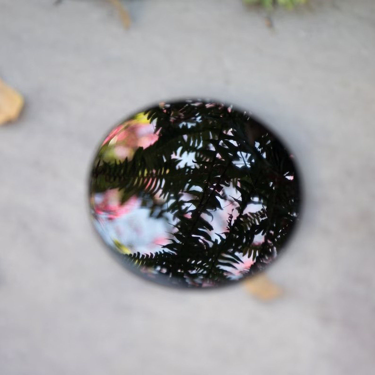 Polished Black Obsidian Crystal Scrying Mirror Healing Energy Home Decor Gift