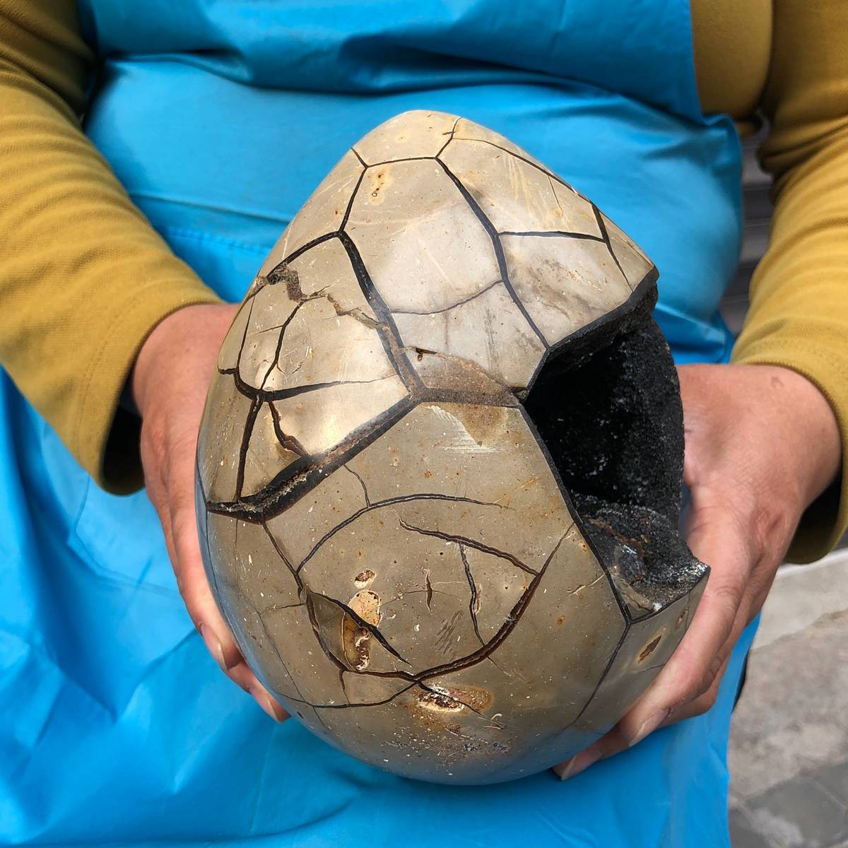 3860G Natural Turtle Back Stone Dragon Crystal Cave Crack Gem Healing 4354