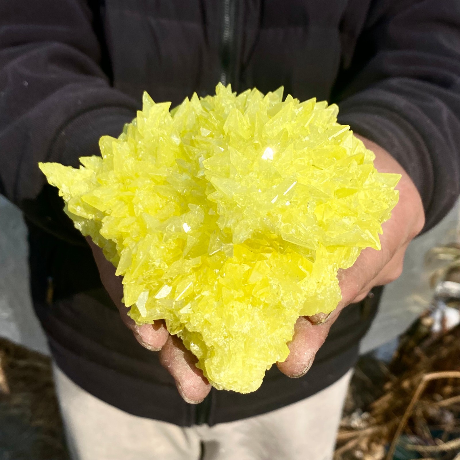 1.4LB Minerals ** LARGE NATIVE SULPHUR OnMATRIX Sicily- FREE.