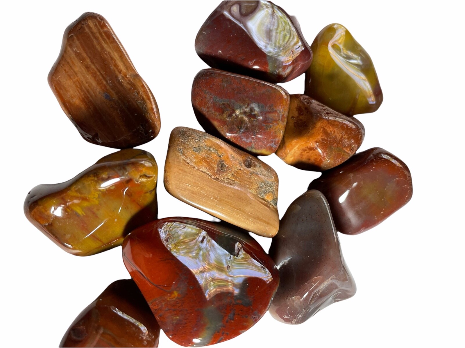 Arizona Petrified Wood 1x Tumbled Stone 30-50mm XL Reiki Healing Crystal Peace