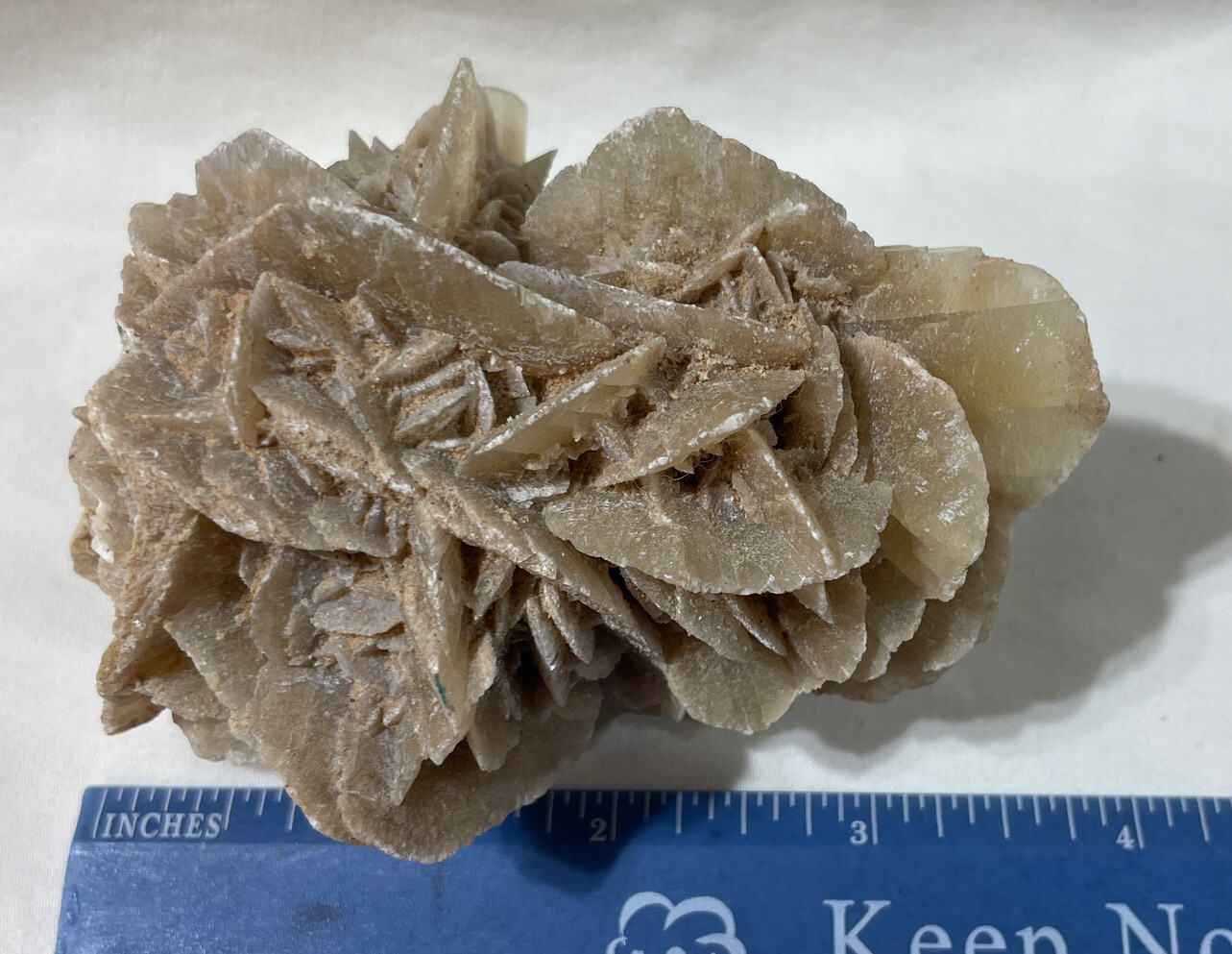 Selenite Desert Rose Crystal Cluster 9 oz. 3 1/2 Inches