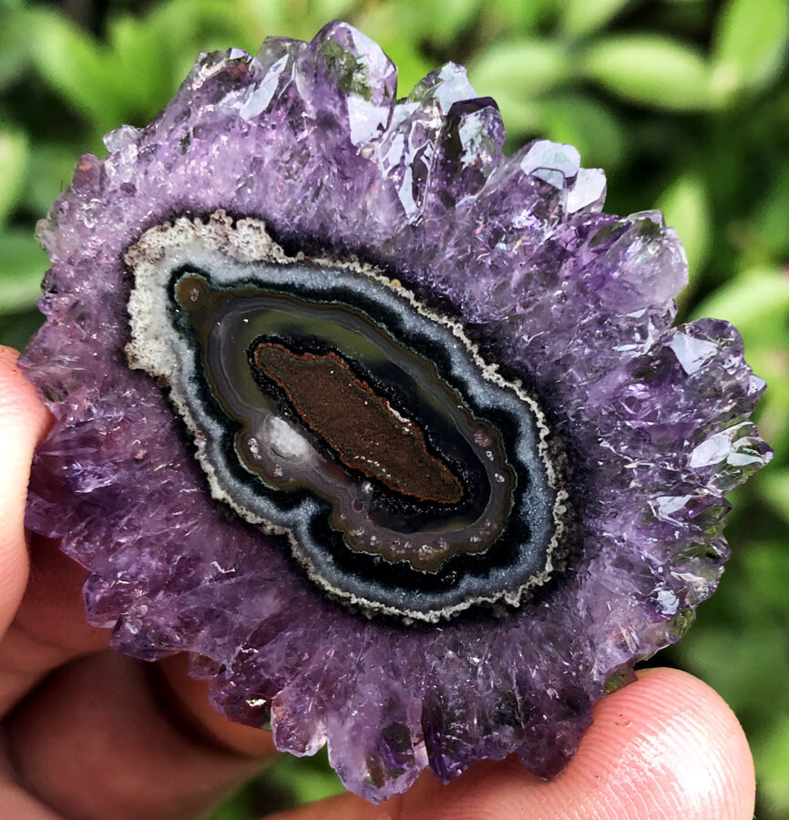 129CT WOW! Boutique Natural Trapiche Star Purple Amethyst Flower Specimen ip1365