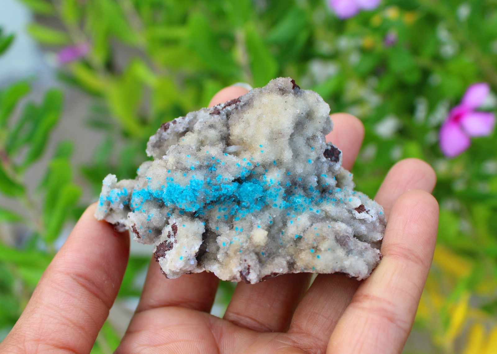 CAVANSITE TINY CRYSTALS FORMAT ON MATRIX MINERALS SPECIMEN