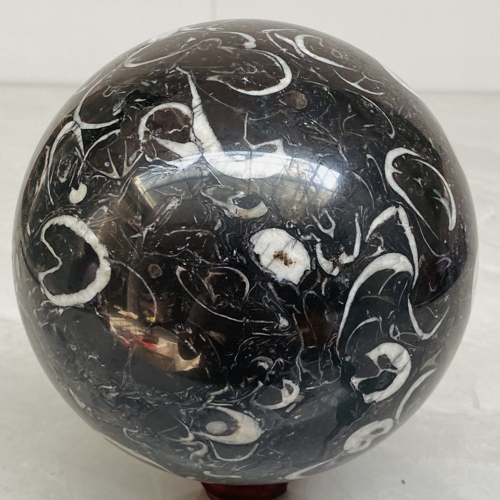 Natural Shell Jasper Thousand Eye Stone Crystal Polished Ball Healing (10.62LB)