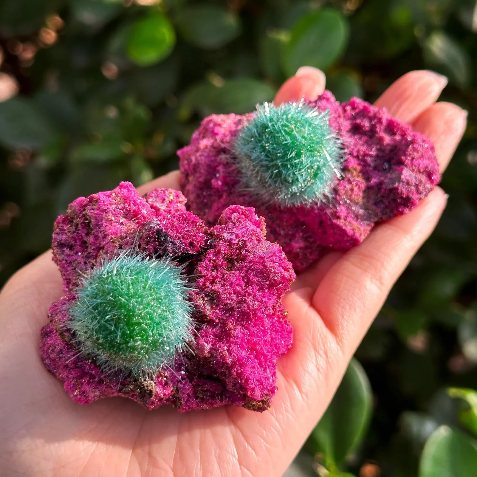 Wholesale Special Ruby Quartz Crystal Mineral Rock Specimen Ideal for Decor