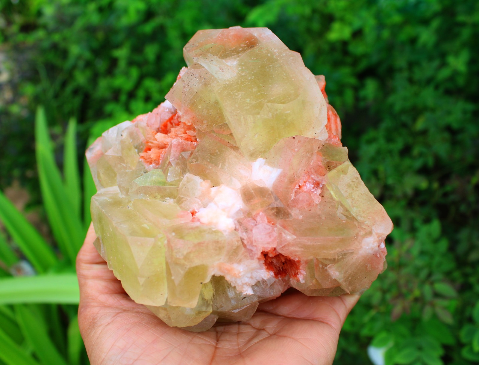 GREEN, YELLOW APOPHYLLITE CRYSTAL ,CUBES FORMAT ON STILBITE MINERAL SPECIMEN