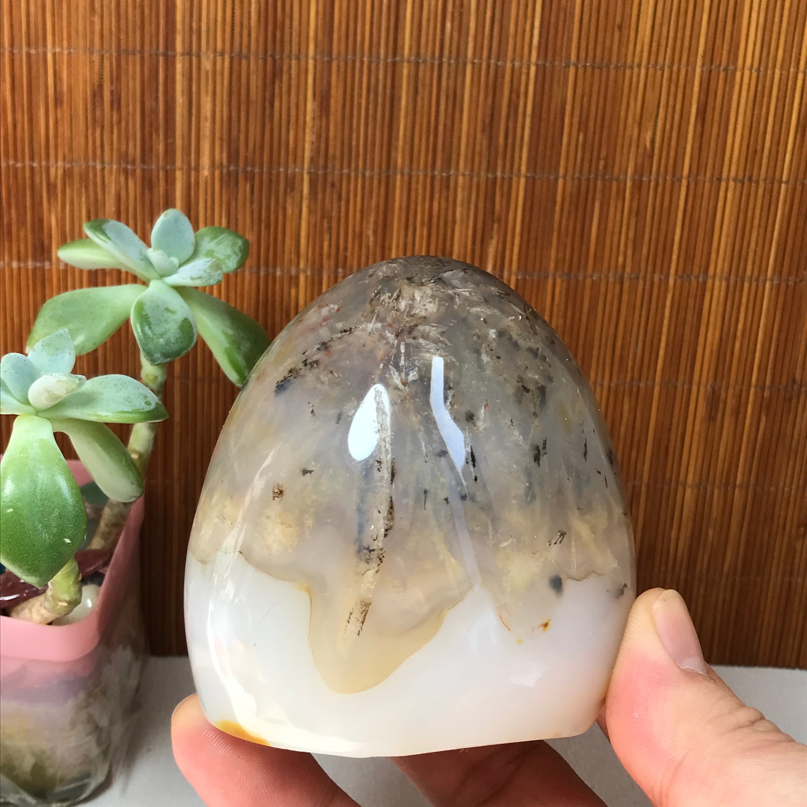 77-74-50mm Natural aquatic plants agate pretty Crystal specimens 433g A1877