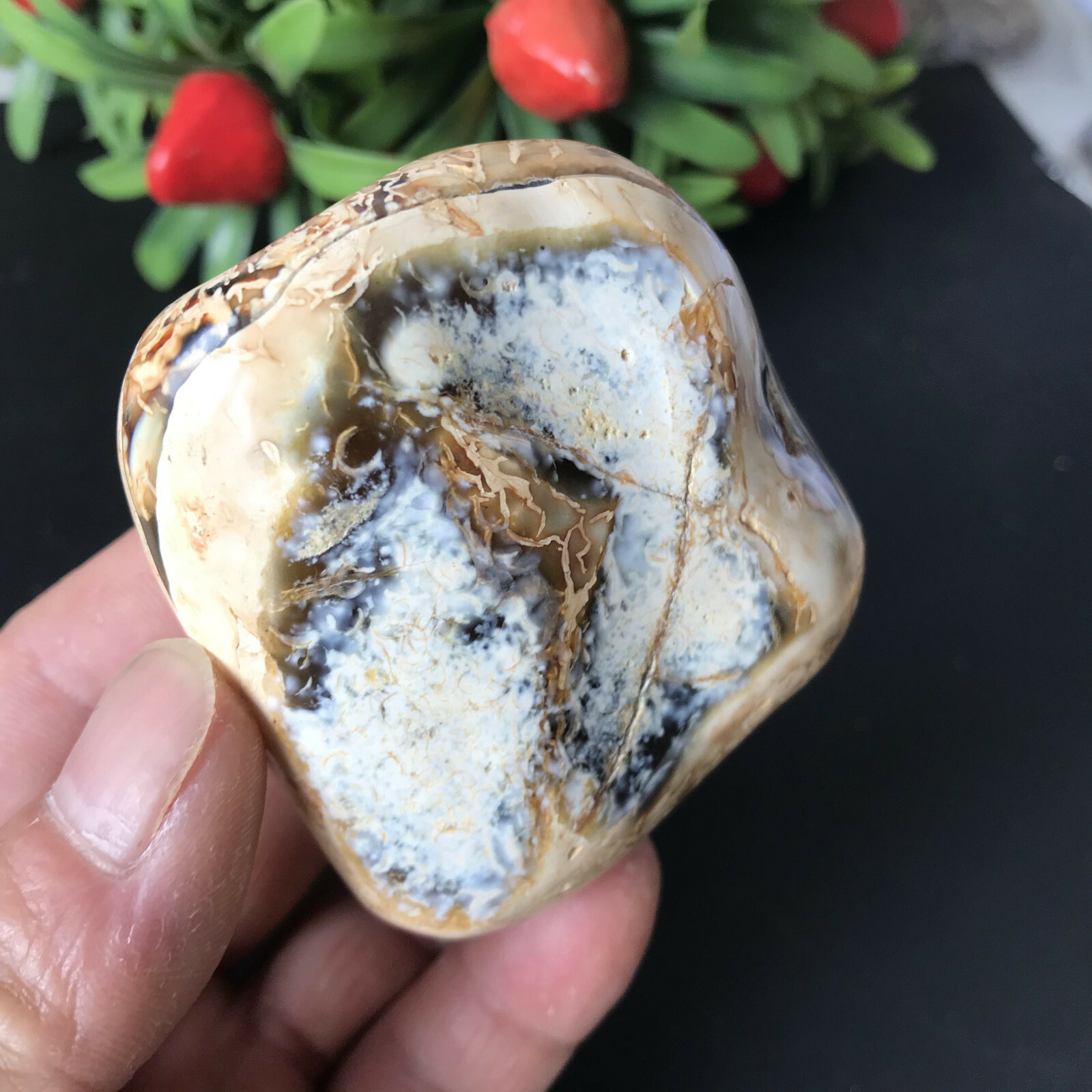 204gRare Beautiful Colourful agate Geode polishing furnishingarticle8560