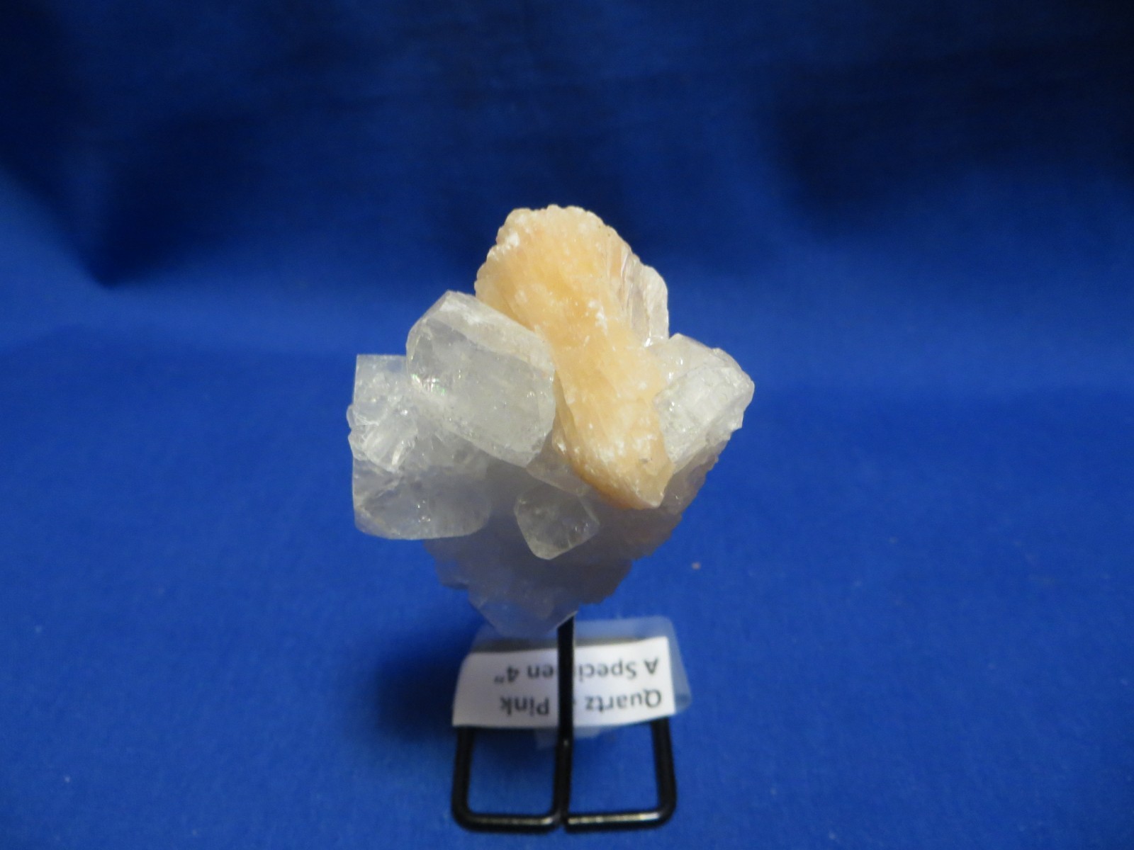 Jumbo Natural Earth Mined Quartz Crystal Pink Inclusion on Black Metal Stand