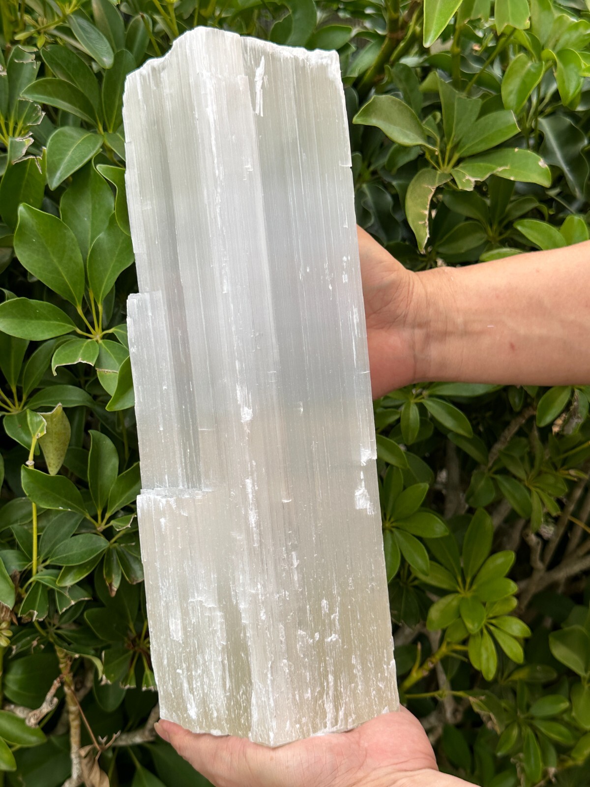 Jumbo Selenite log, Natural White Crystal Huge Selenite Log, Giant Raw Selenite