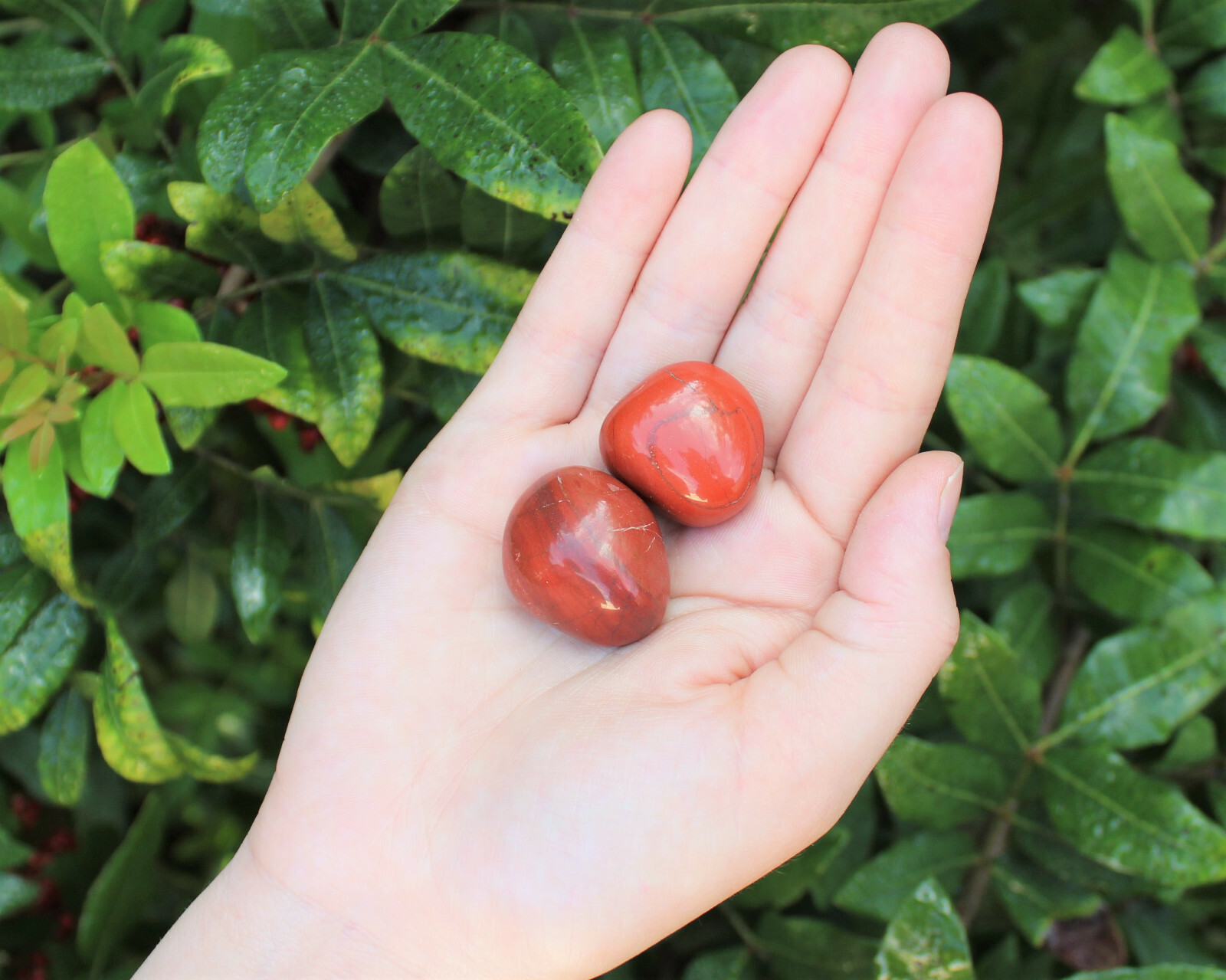 2 Medium Red Jasper Tumbled Stone Crystal Healing Gemstone Tumble