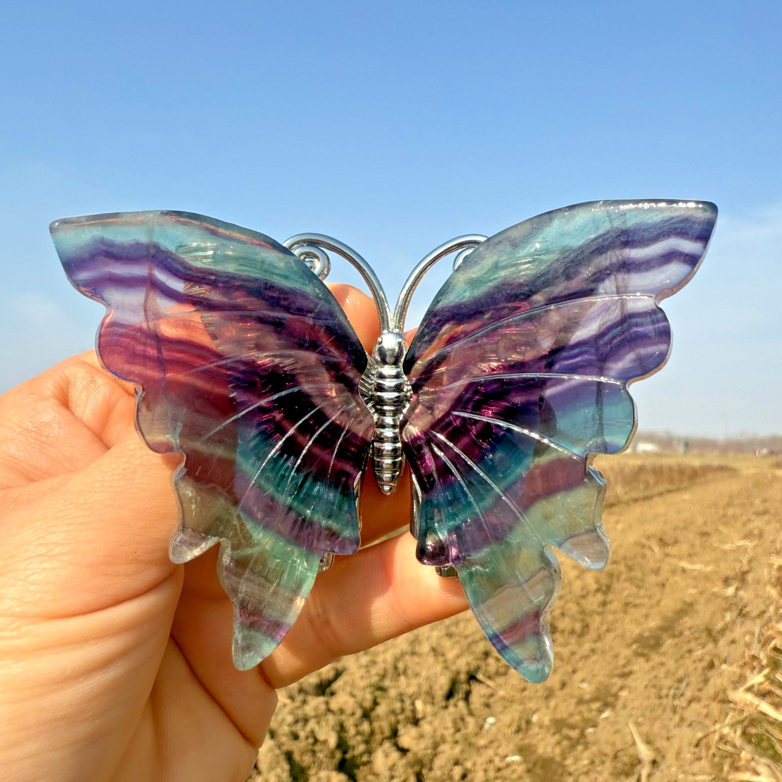 3.6″ Natural Flourite Carved Butterfly Reiki Crystal Skull holiday gift 1pc