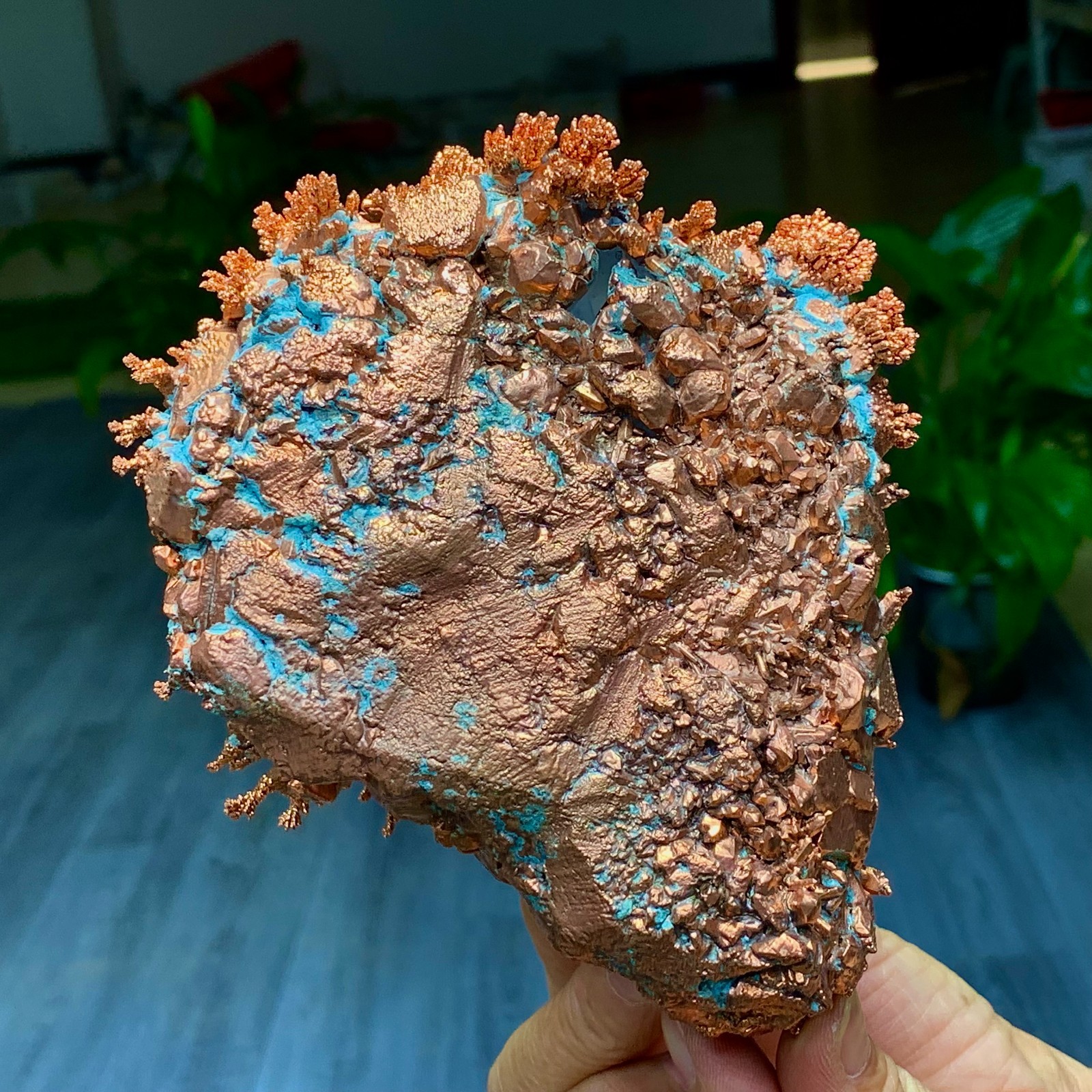 2.44LB Rare iridescent Native Copper with white quartz crystal mineral-symbiosis