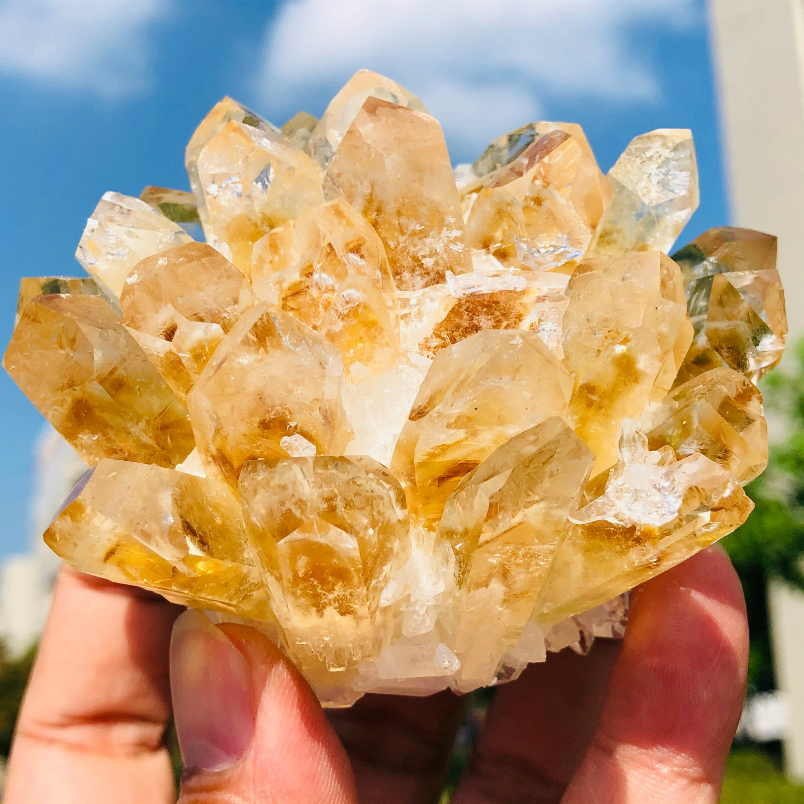 300-400g Yellow Phantom Quartz Citrine Crystal Cluster Mineral Specimen Healing
